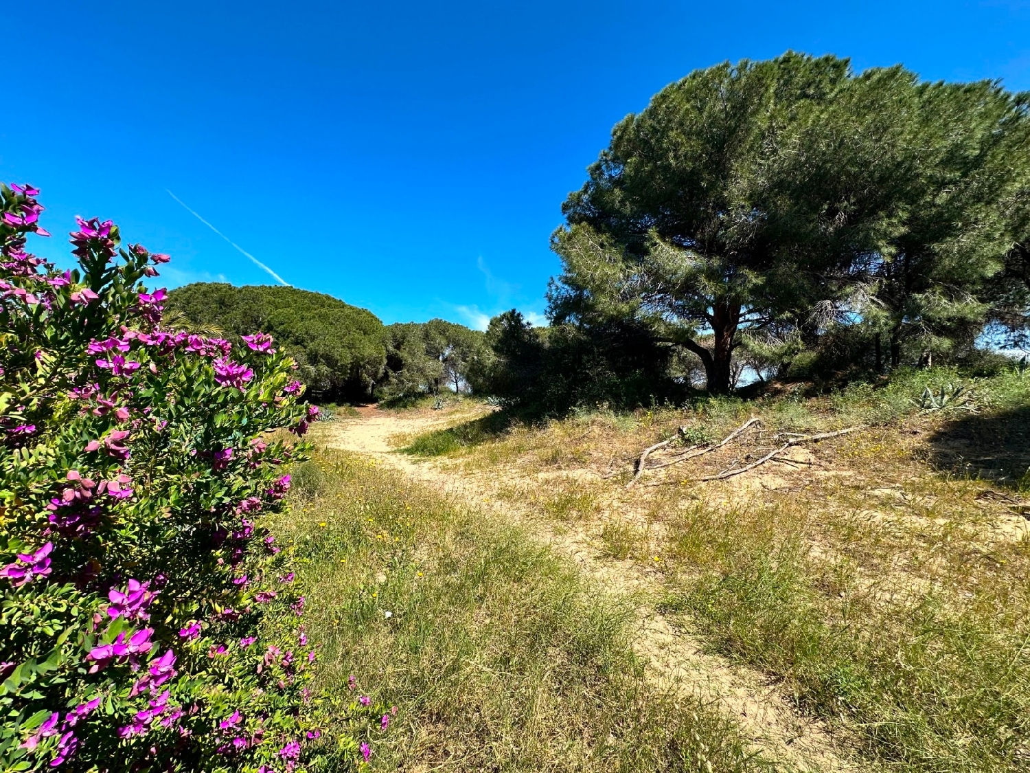  te koop huis Guardamar Del Segura Baix Segura 5