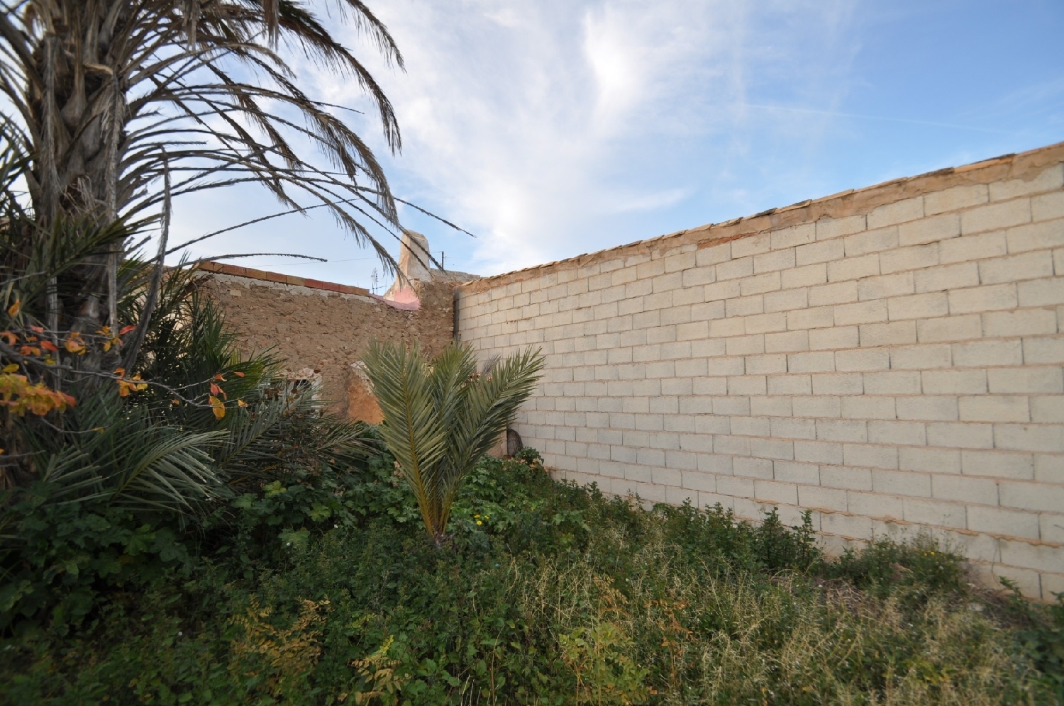  à vendre maison Hondón De Las Nieves Vinalopó Mitjà 7