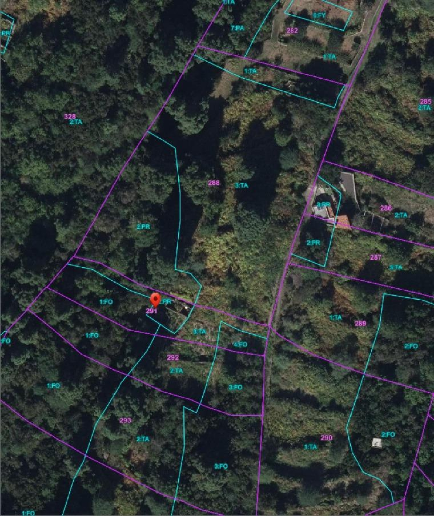 kaufen Haus Icod De Los Vinos Zona Norte 3