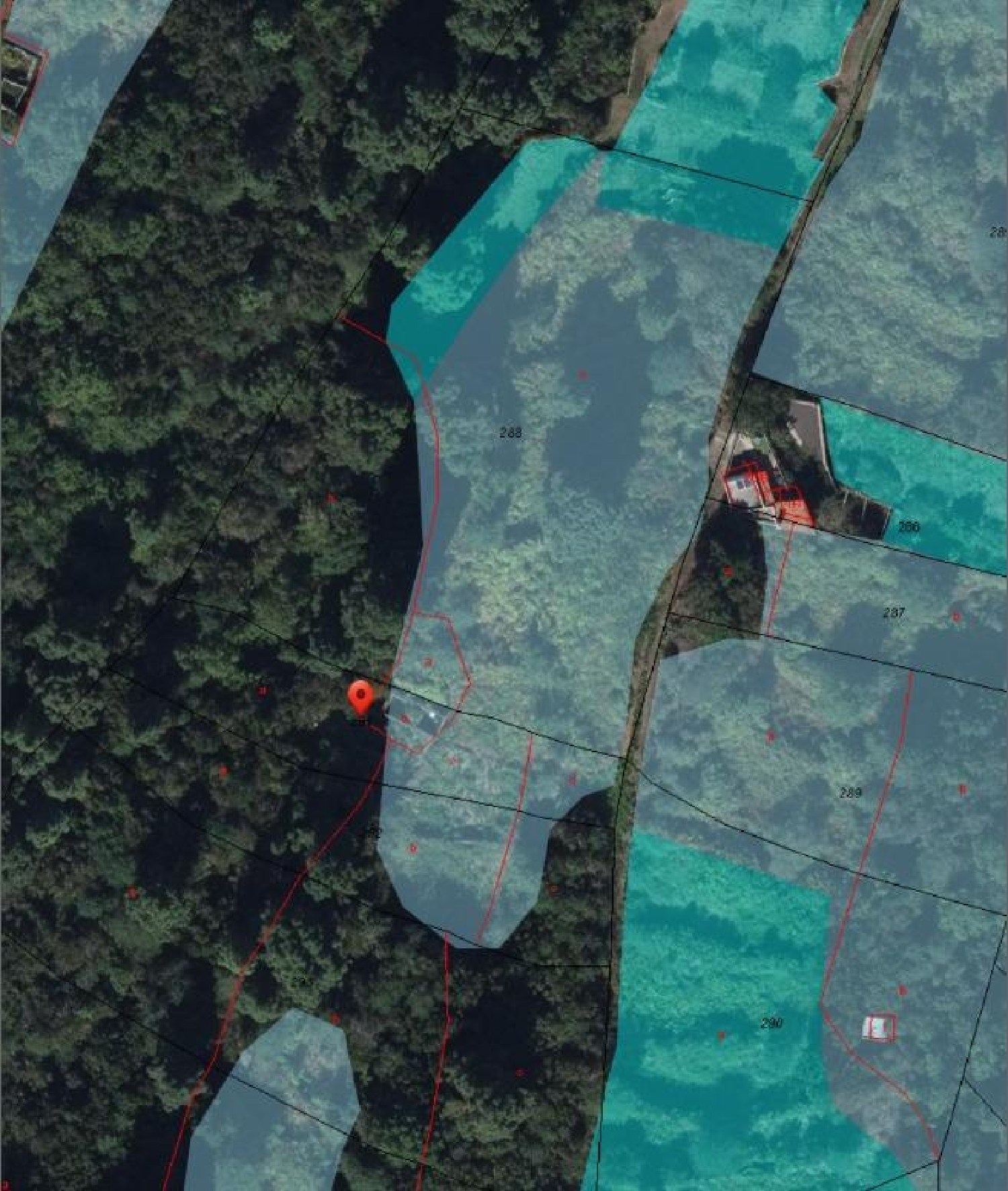 kaufen Haus Icod De Los Vinos Zona Norte 4