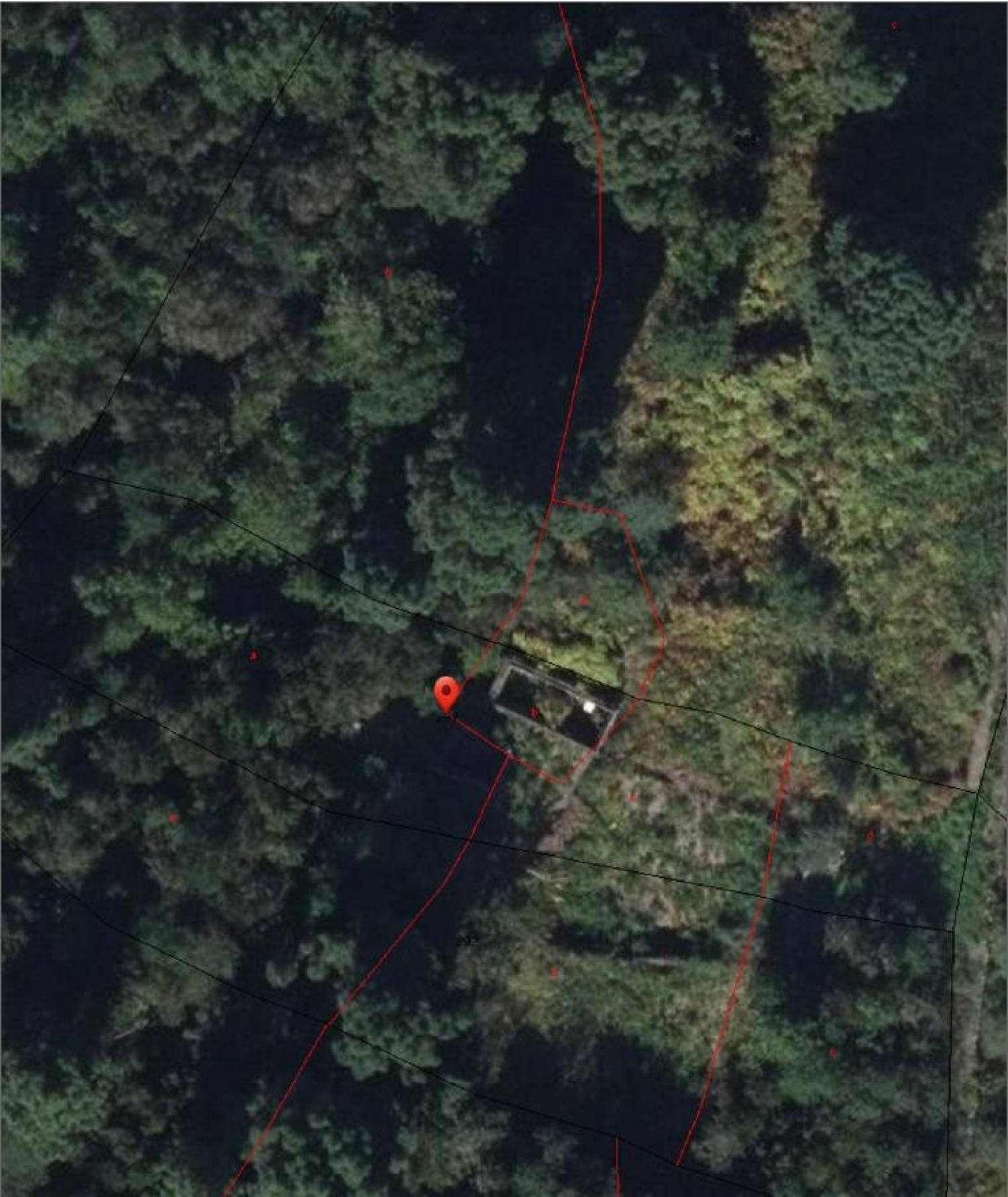 kaufen Haus Icod De Los Vinos Zona Norte 2