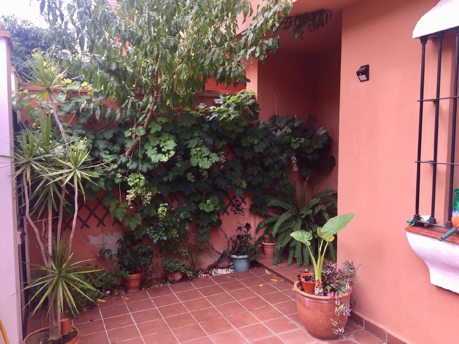  à vendre maison La Linea De La Concepcion Campo De Gibraltar 3
