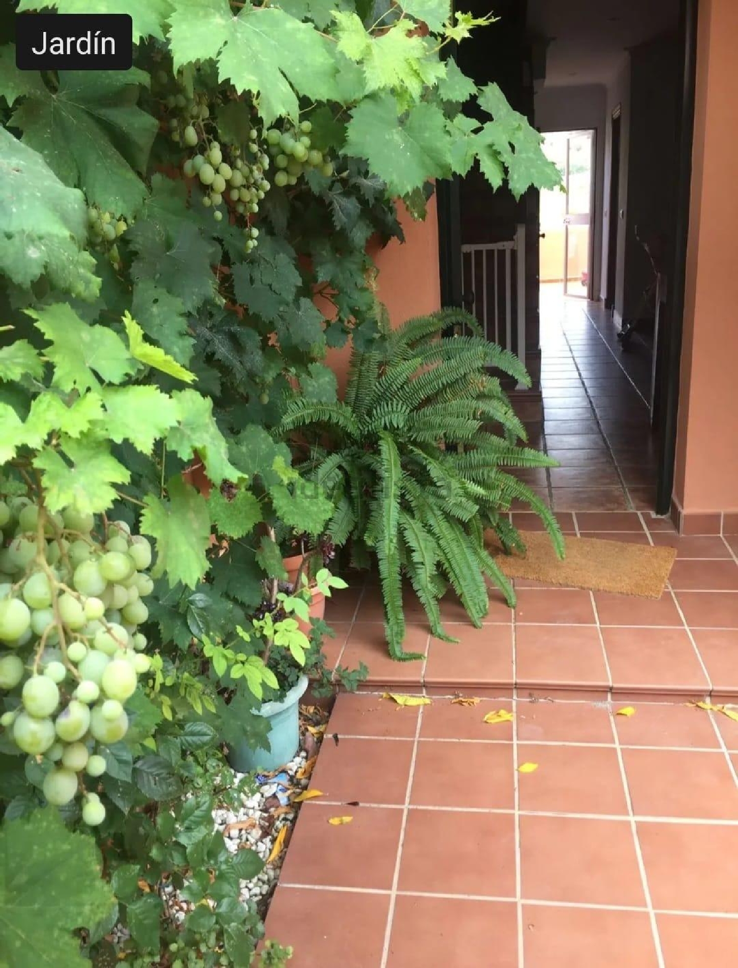  à vendre maison La Linea De La Concepcion Campo De Gibraltar 4