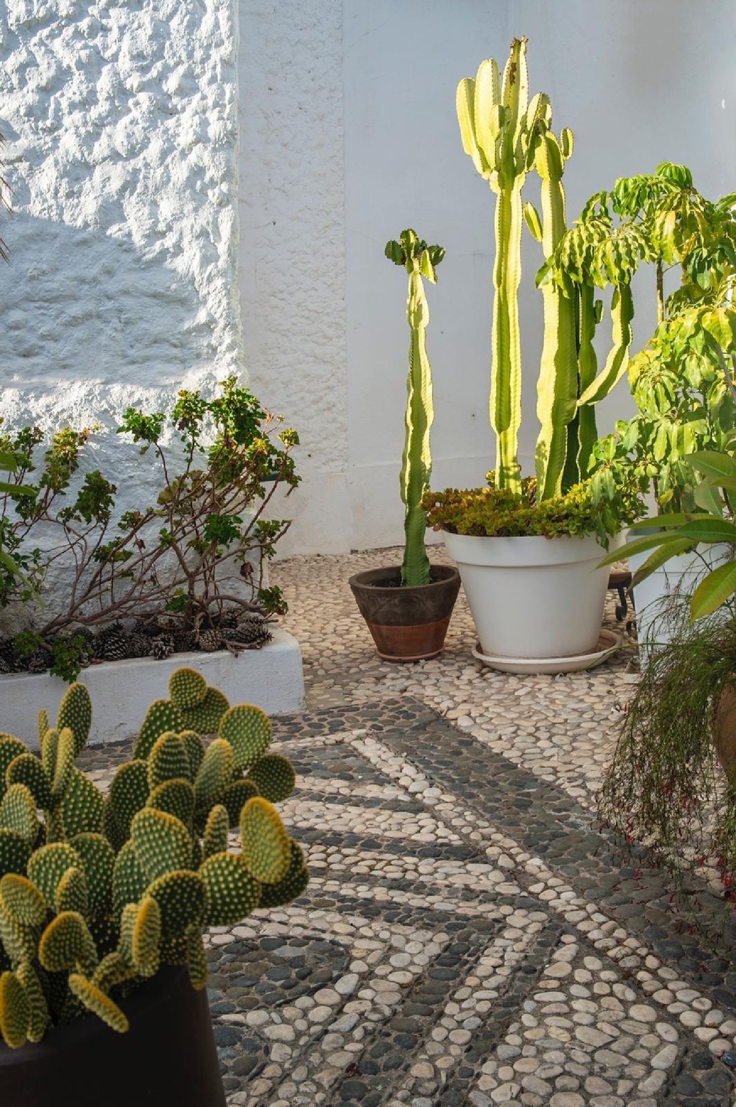  kaufen Haus Marbella Costa Noroeste 4