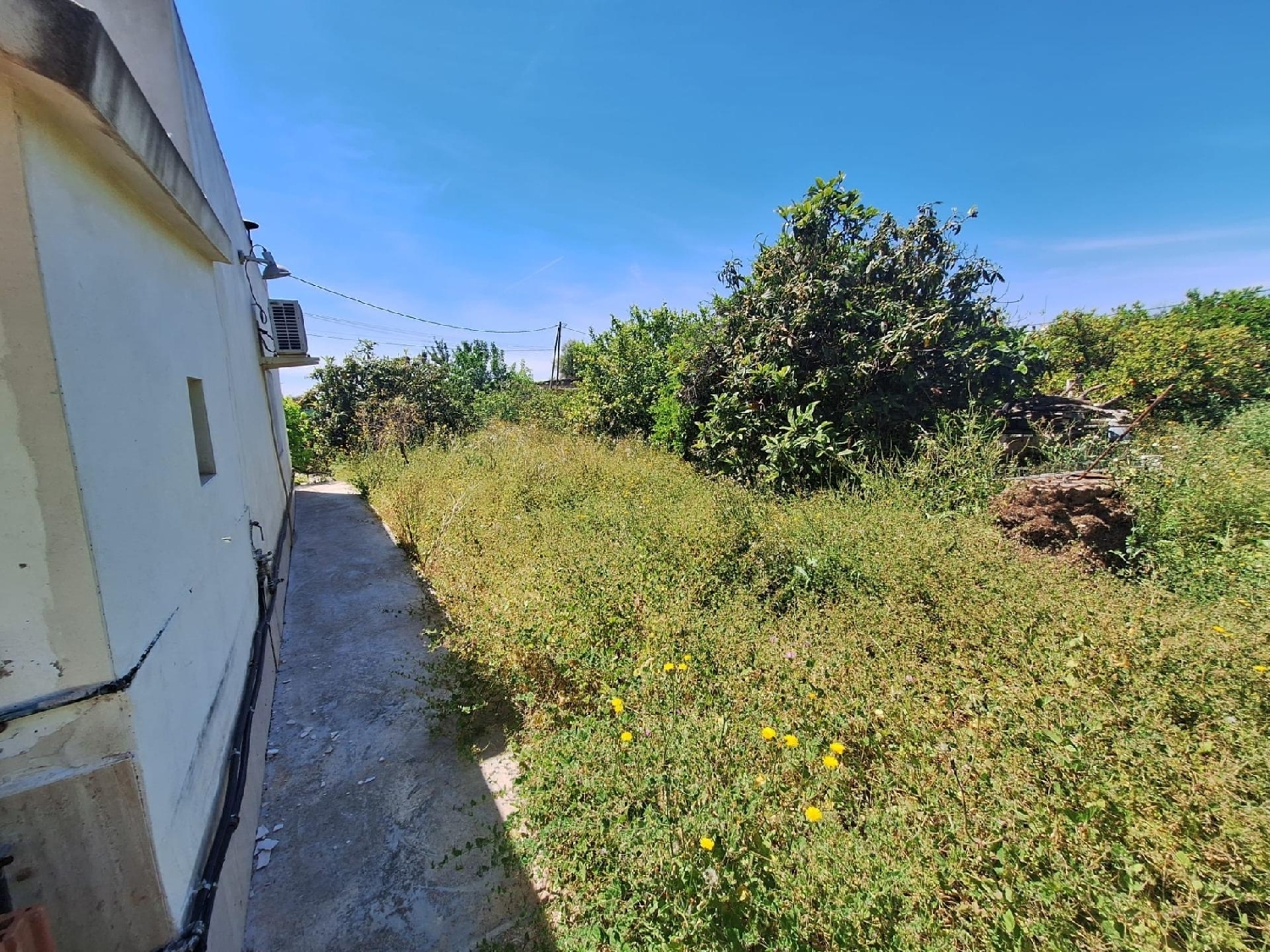  for sale house Molina De Segura Vega Media Del Segura 5