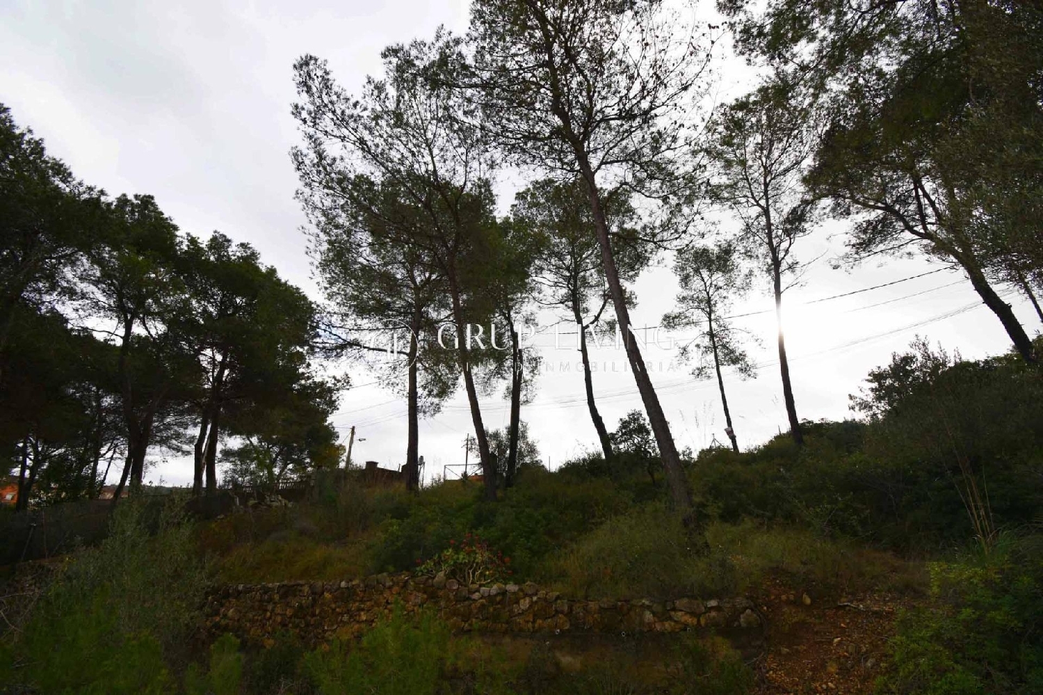  à vendre maison Olivella Garraf 10