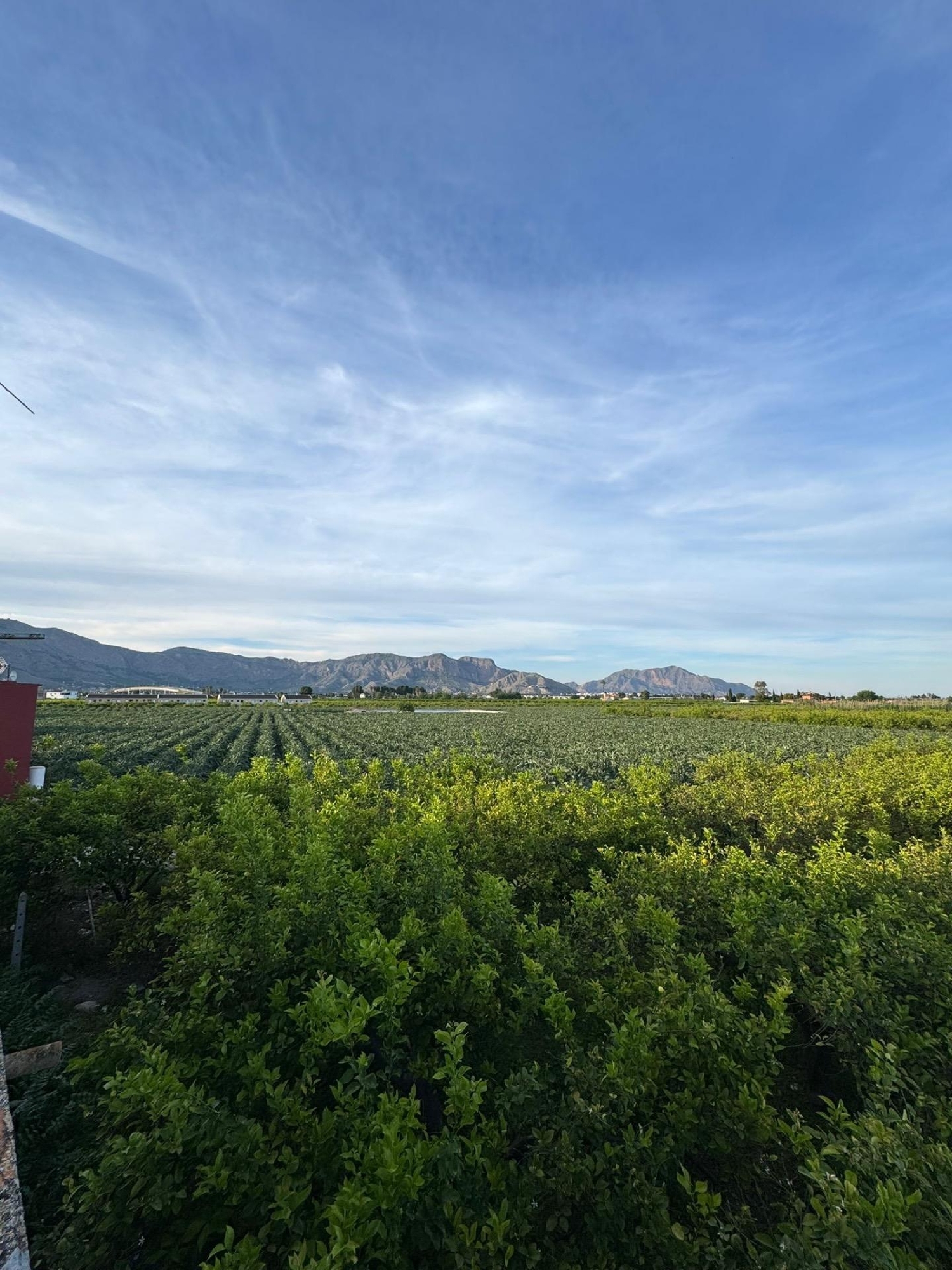  kaufen Haus Orihuela Baix Segura 7