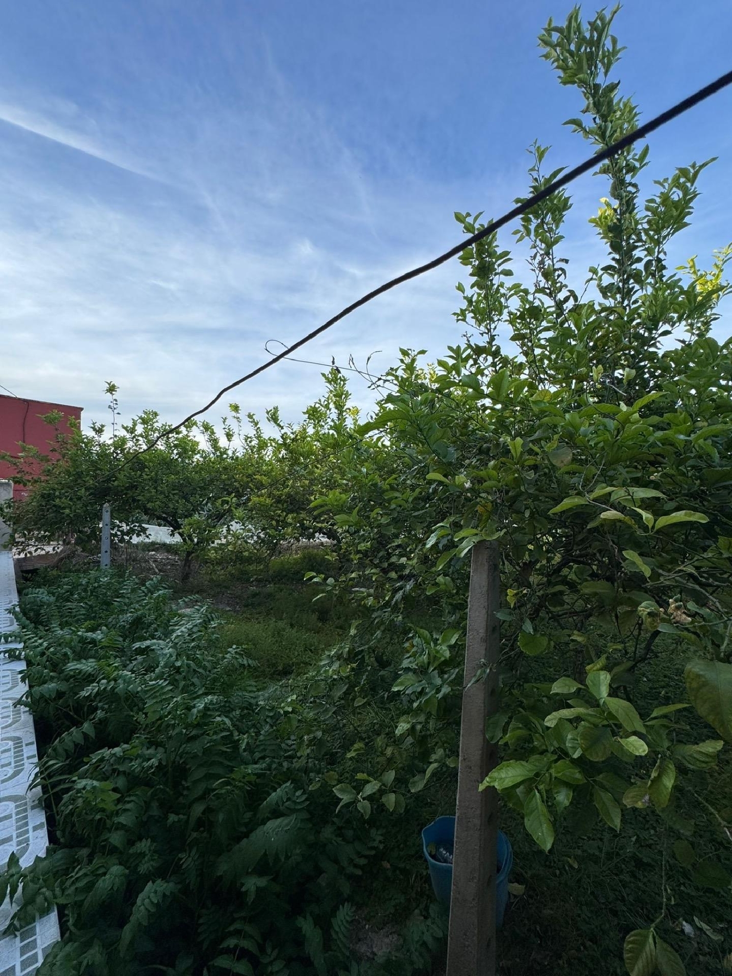  kaufen Haus Orihuela Baix Segura 4