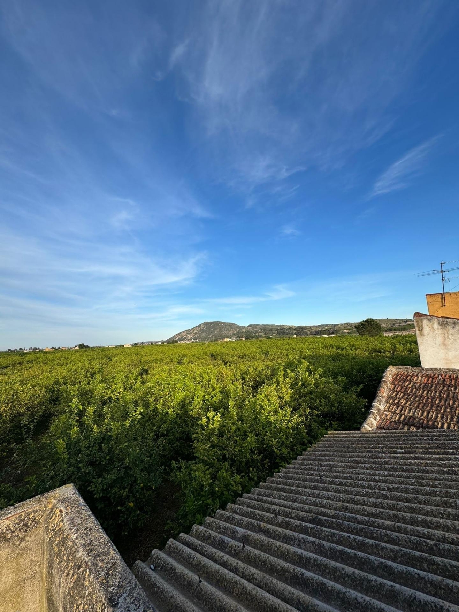  kaufen Haus Orihuela Baix Segura 6