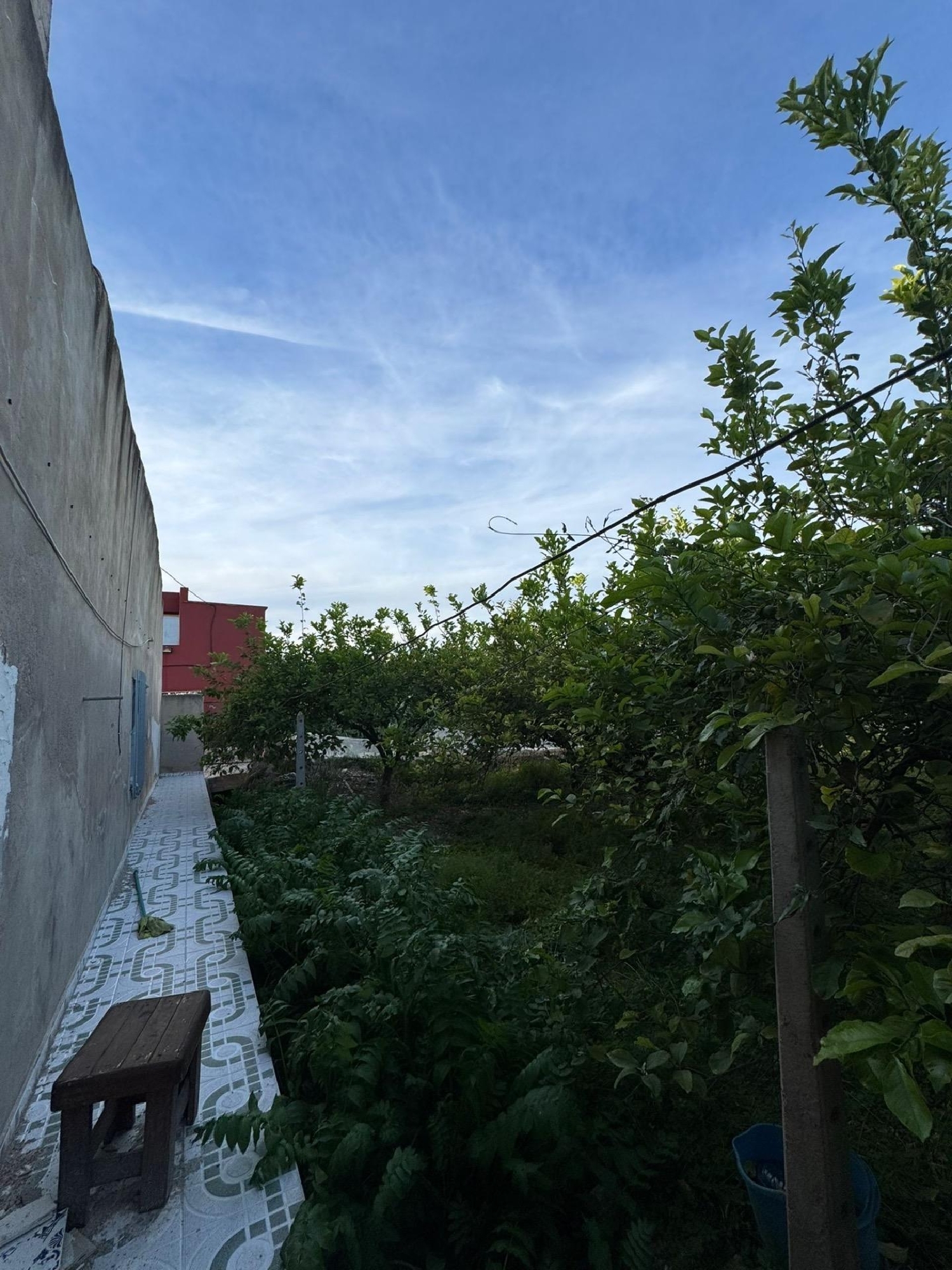  kaufen Haus Orihuela Baix Segura 5