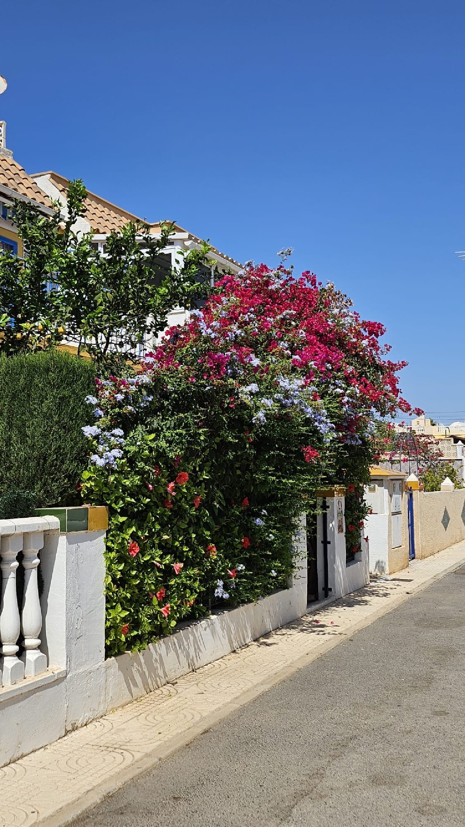  for sale house Orihuela Costa Baix Segura 4