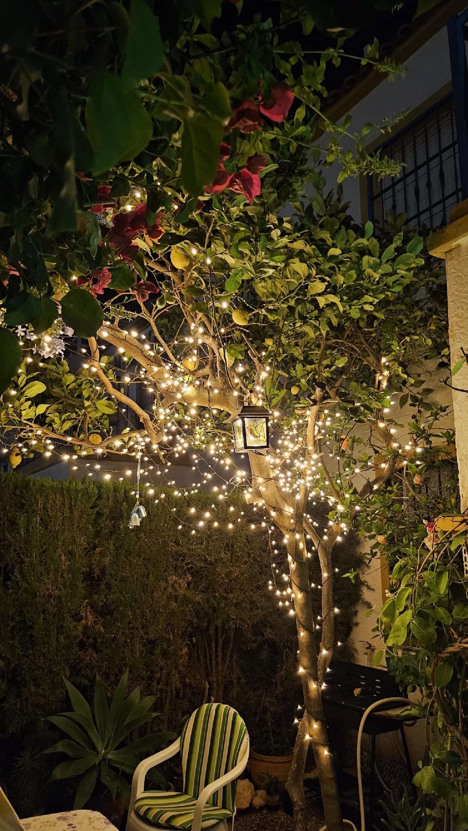  for sale house Orihuela Costa Baix Segura 7