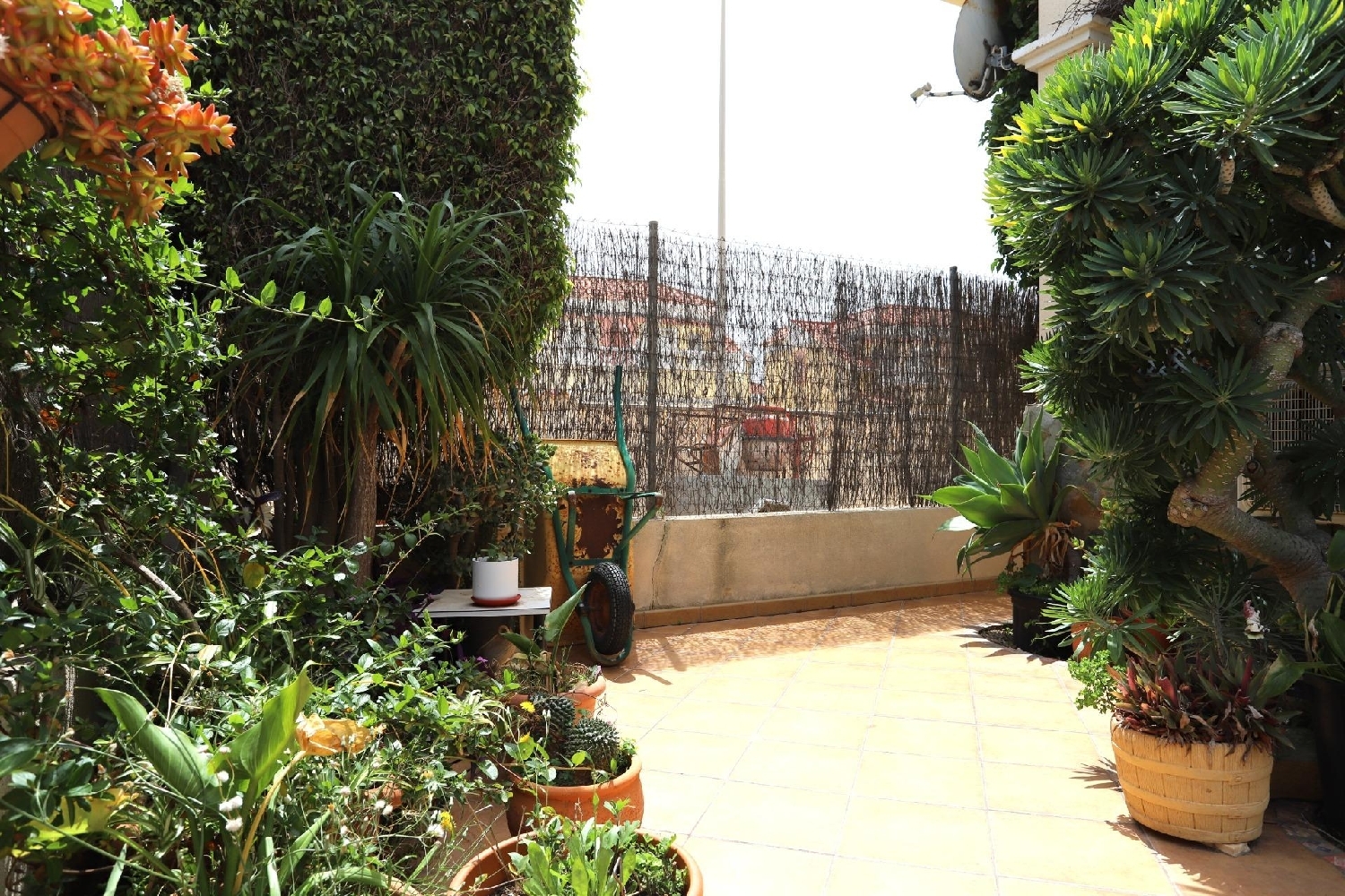  kaufen Haus Orihuela Costa Baix Segura 20