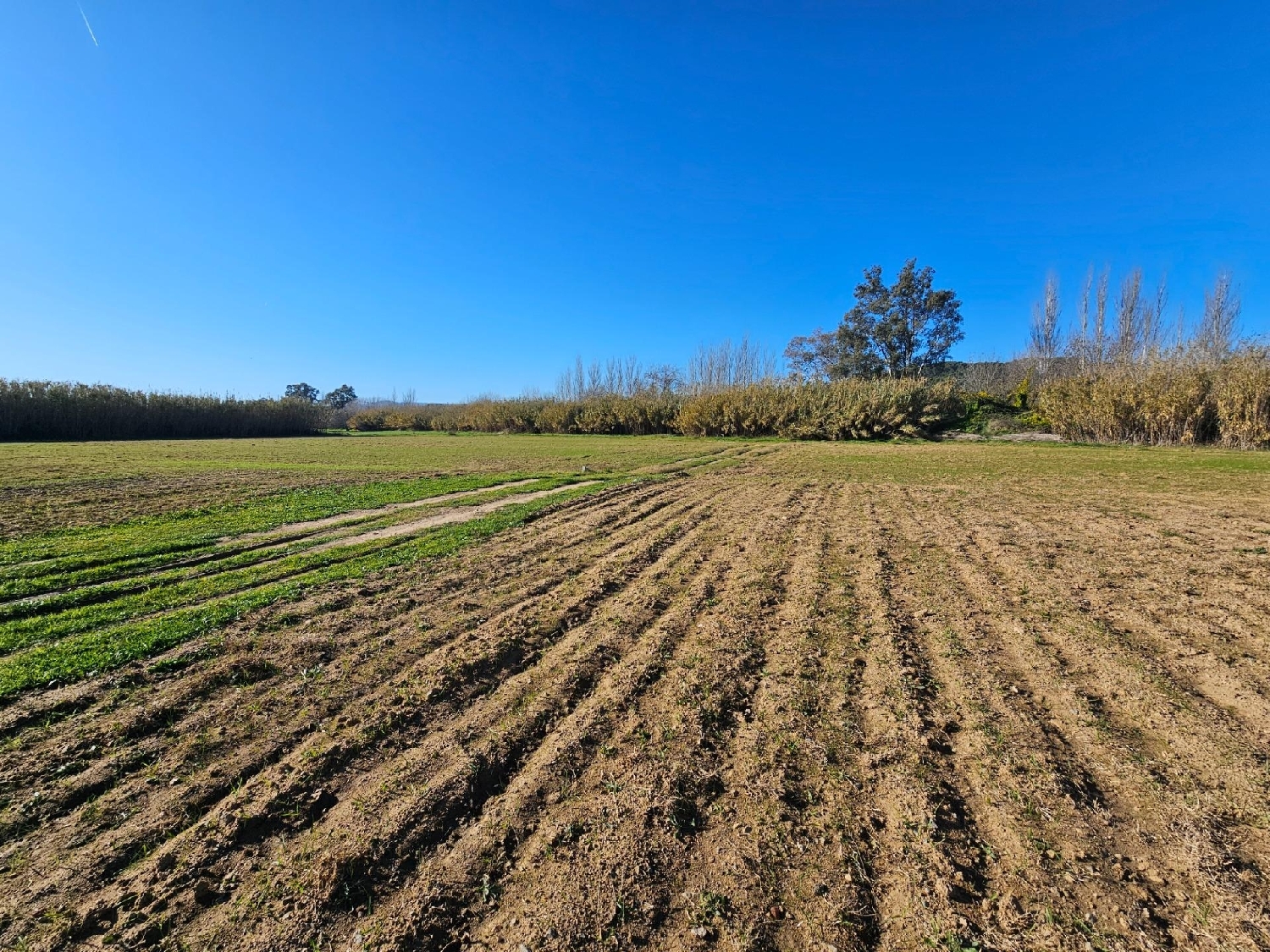  till salu hus Palamós Baix Empordà 7