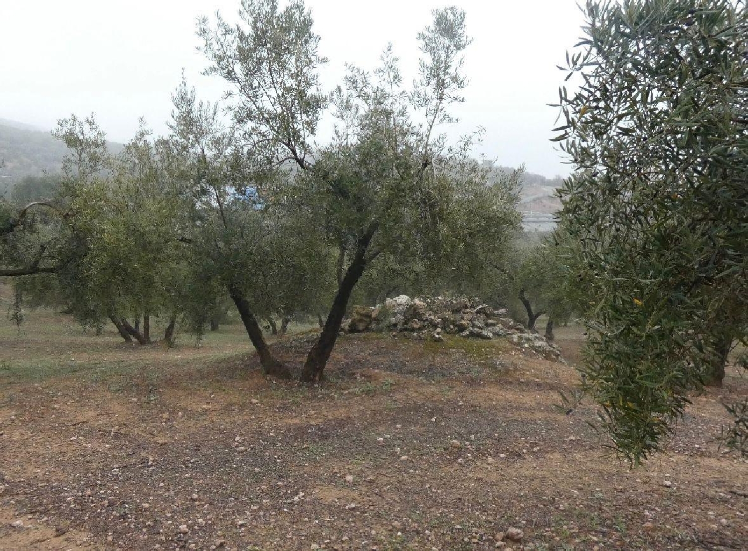 te koop huis Peligros Vega De Granada 1