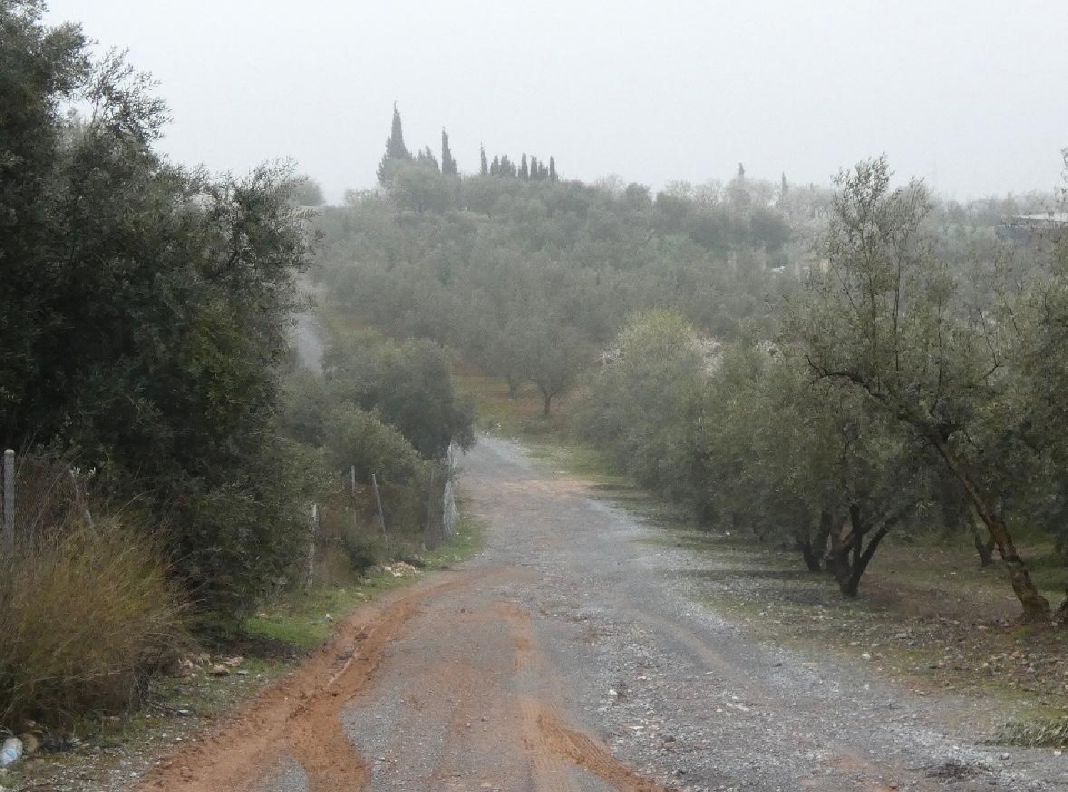 te koop huis Peligros Vega De Granada 5