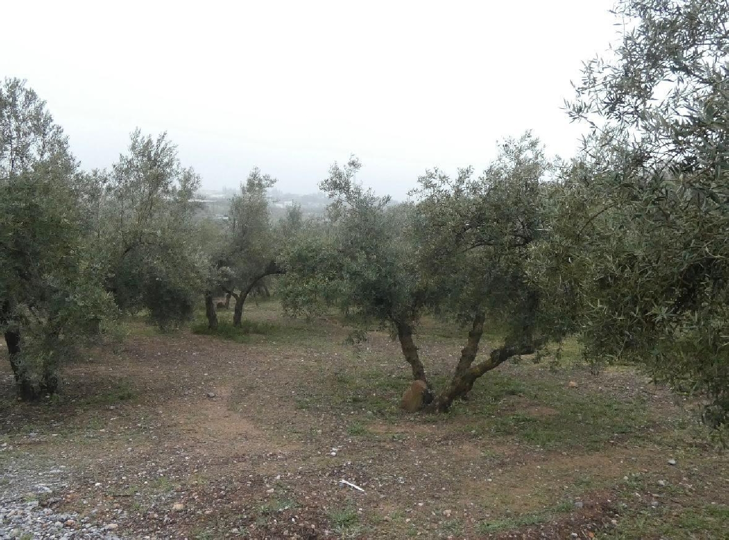 te koop huis Peligros Vega De Granada 3