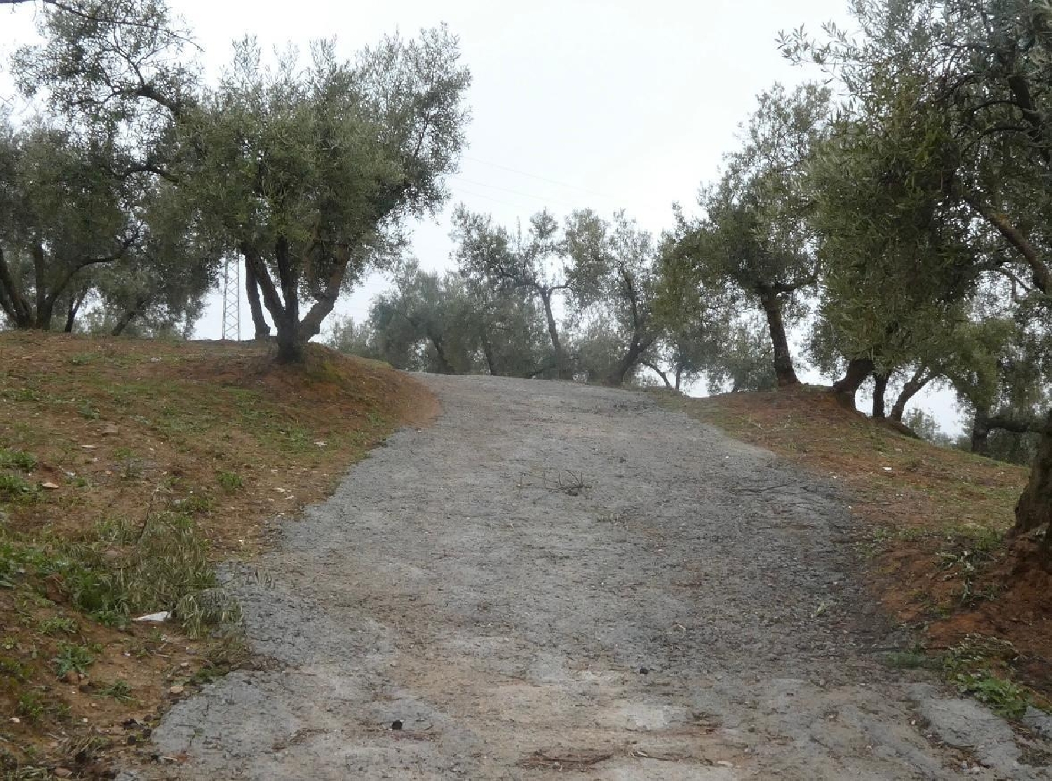 te koop huis Peligros Vega De Granada 8