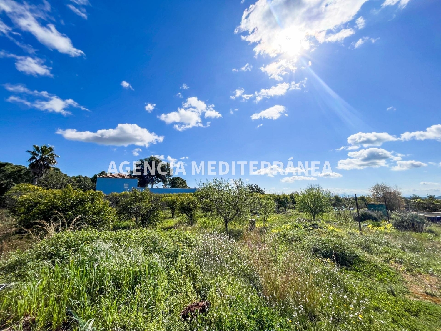  for sale house Picassent Horta Sud 7