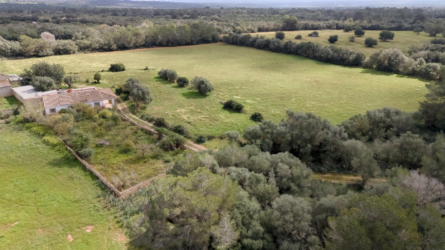  te koop huis Porreres Pla (Es) 5