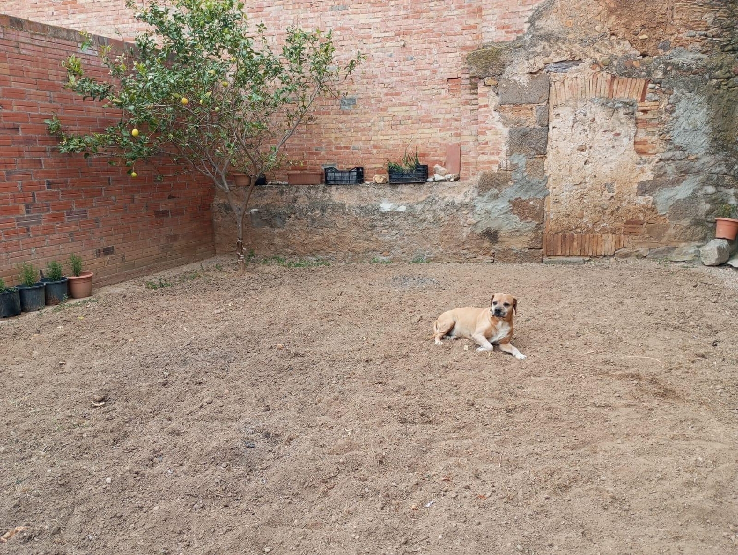  till salu hus Riumors Alt Empordà 5