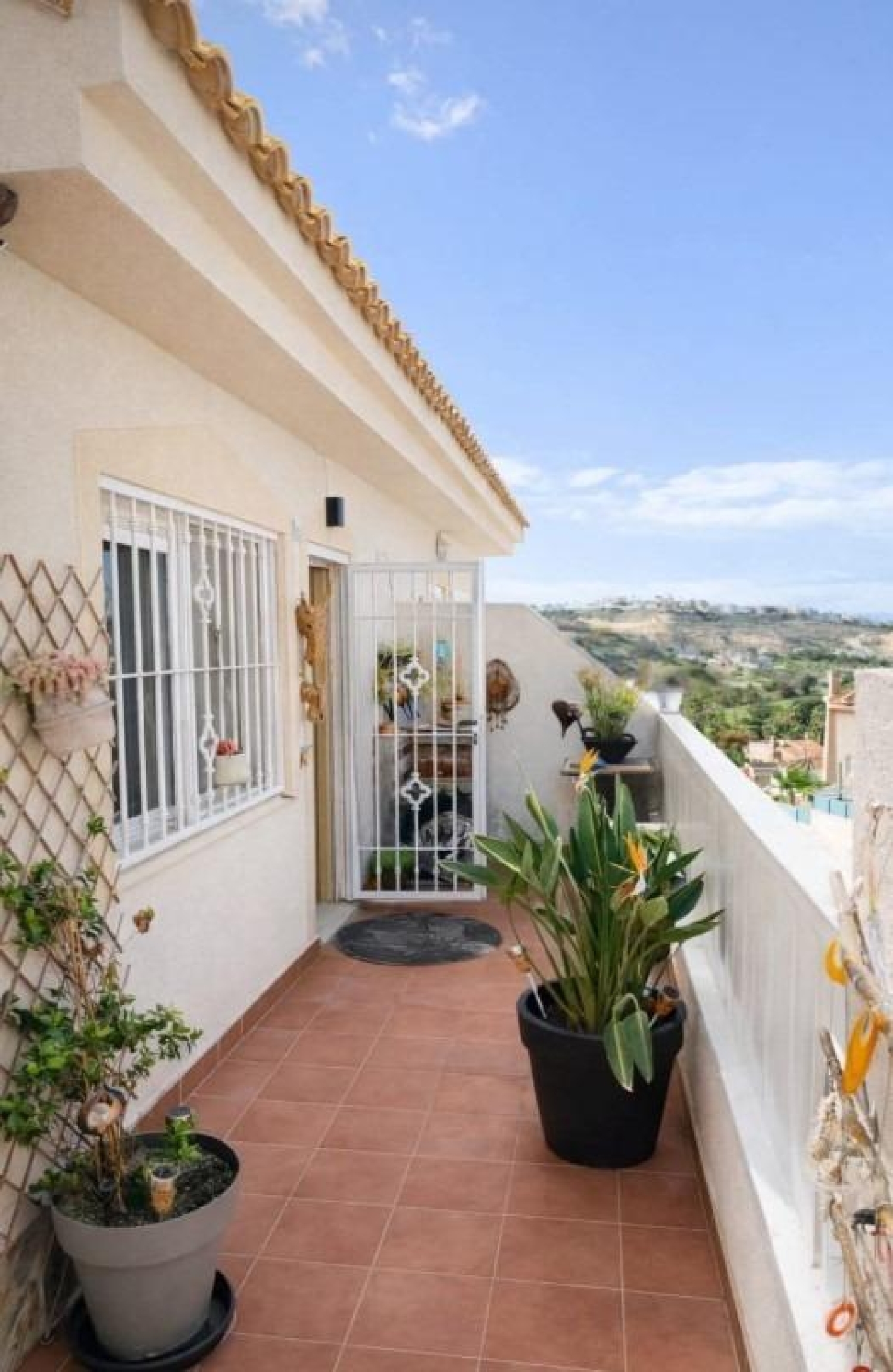  for sale house Rojales Baix Segura 7