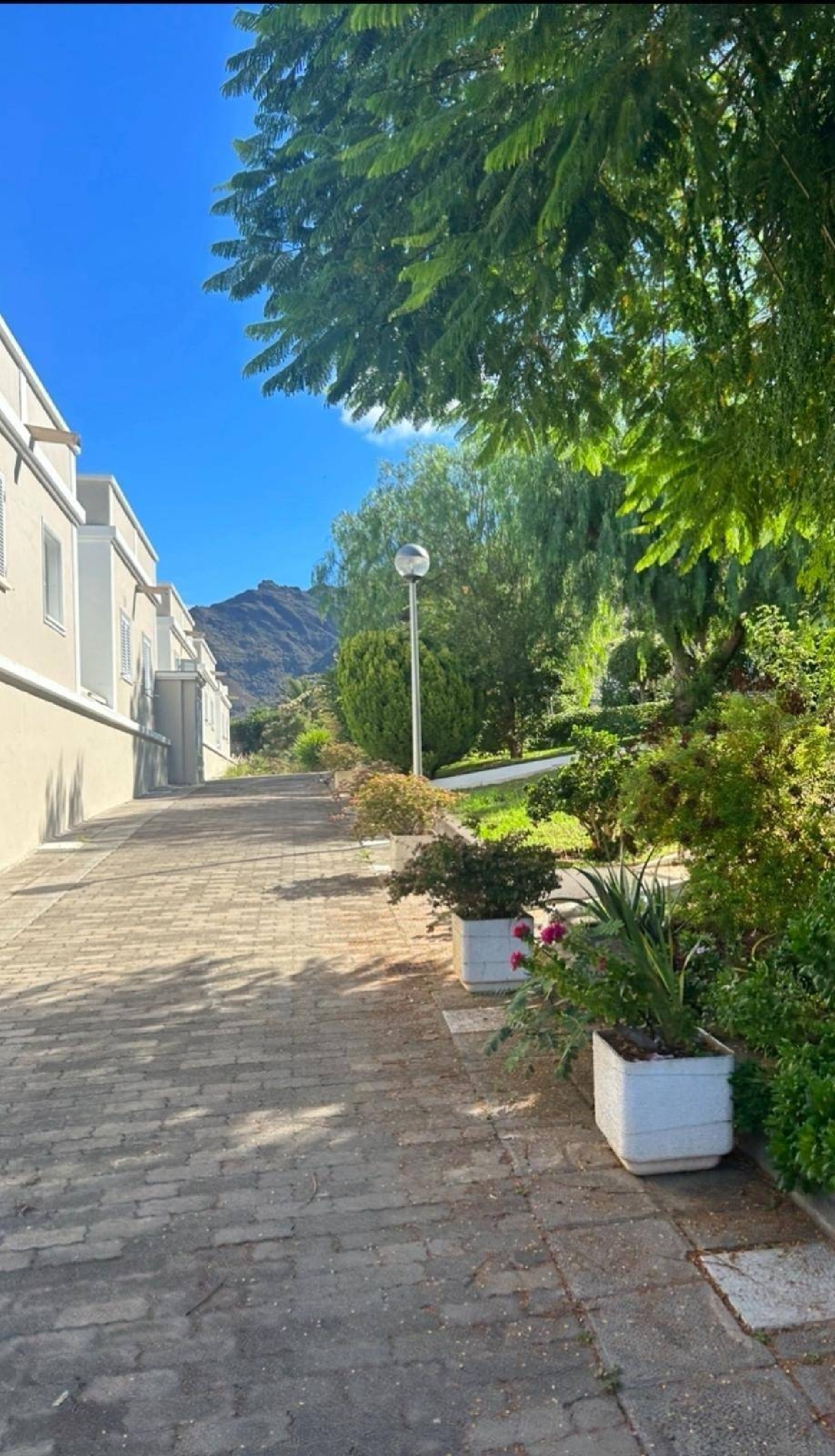  till salu hus San Cristóbal De La Laguna Centro 38201 Zona Metropolitana 8