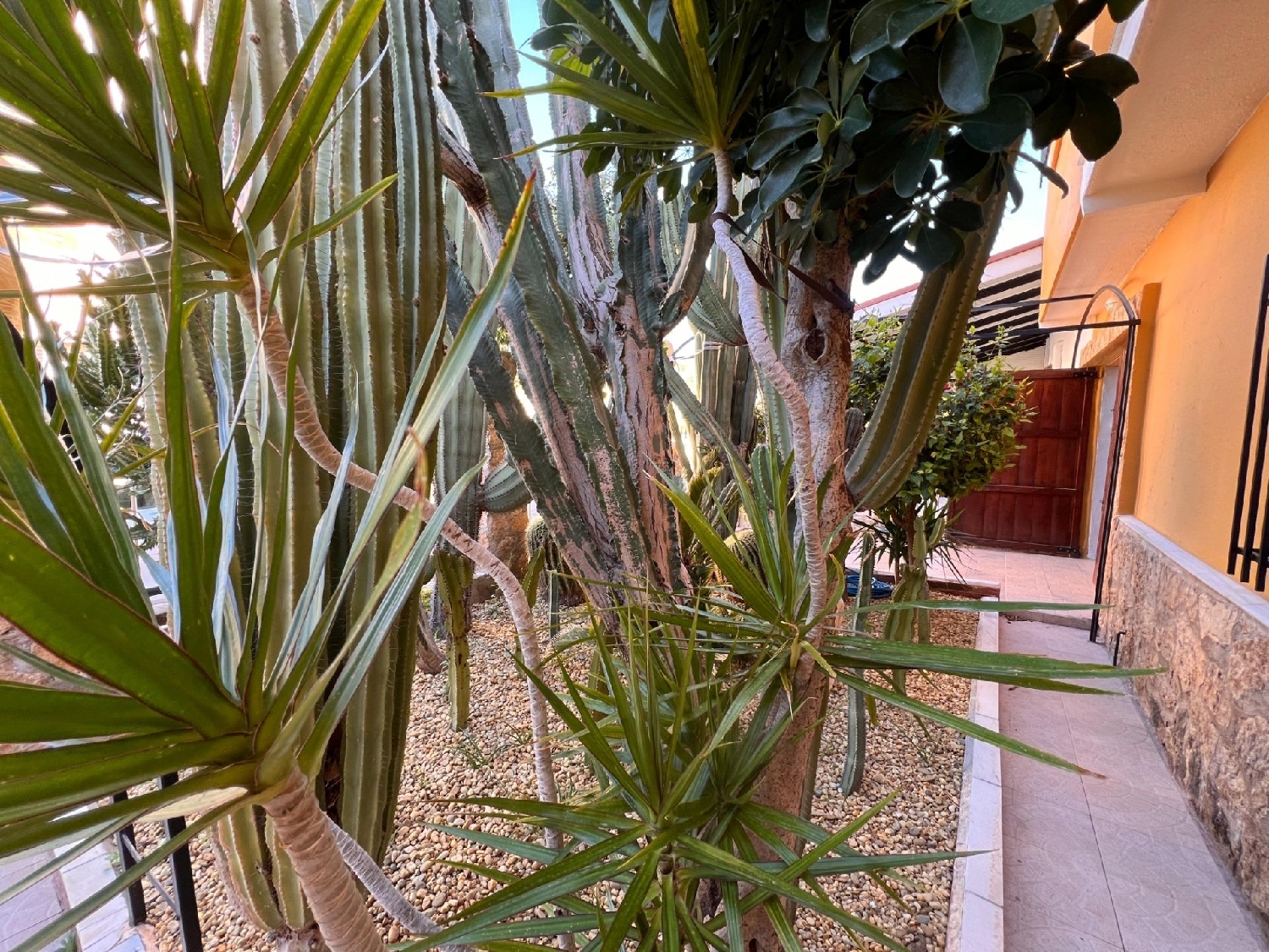  kaufen Haus San Juan De Los Terreros Levante Almeriense 3