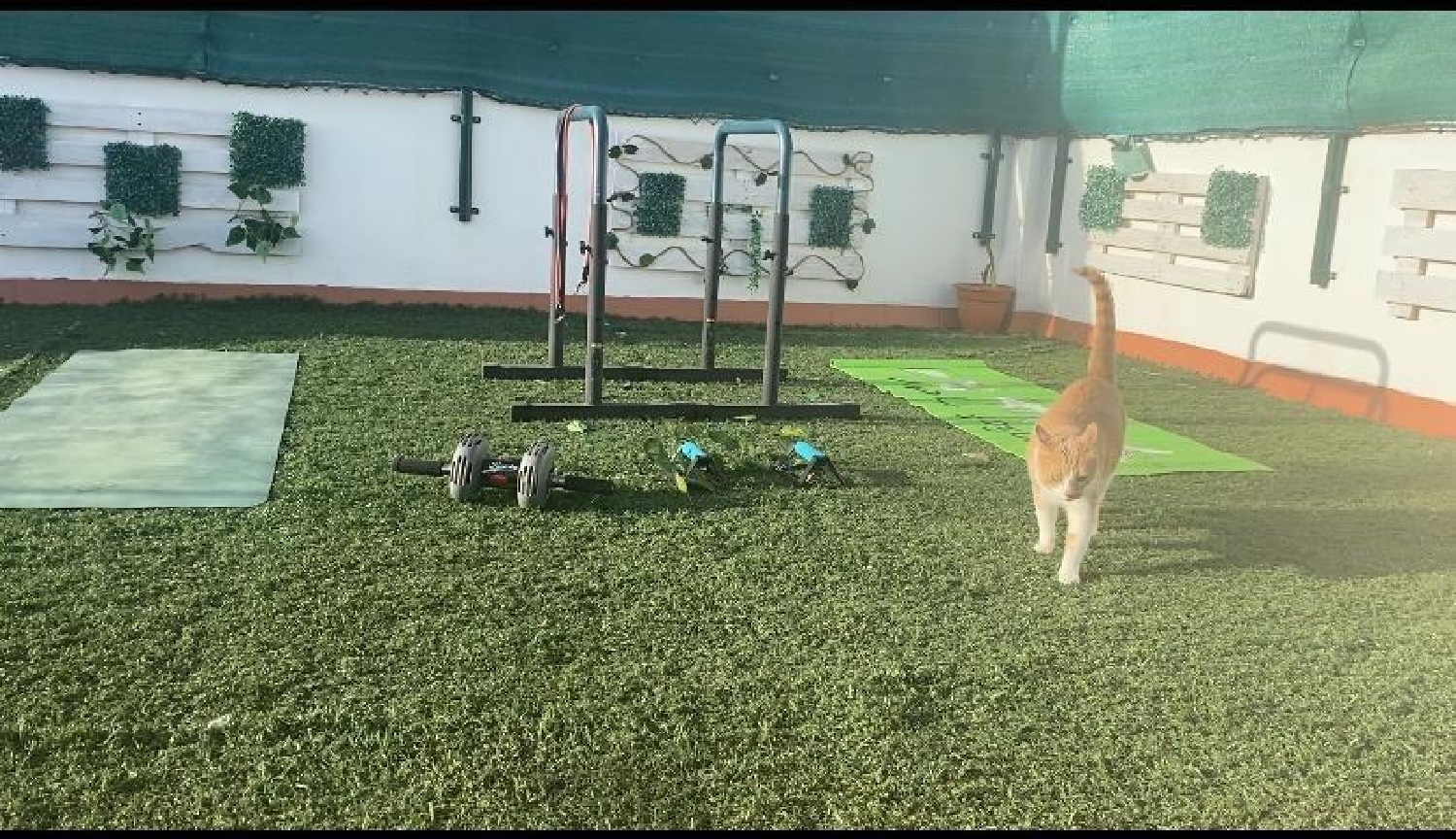  à vendre maison San Roque Ferrol 3