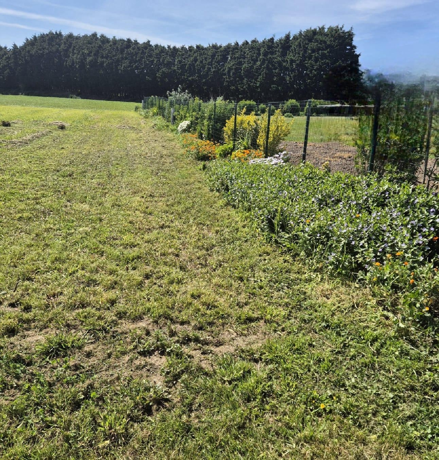 kaufen Haus Tapia De Casariego Eo-Navia 6