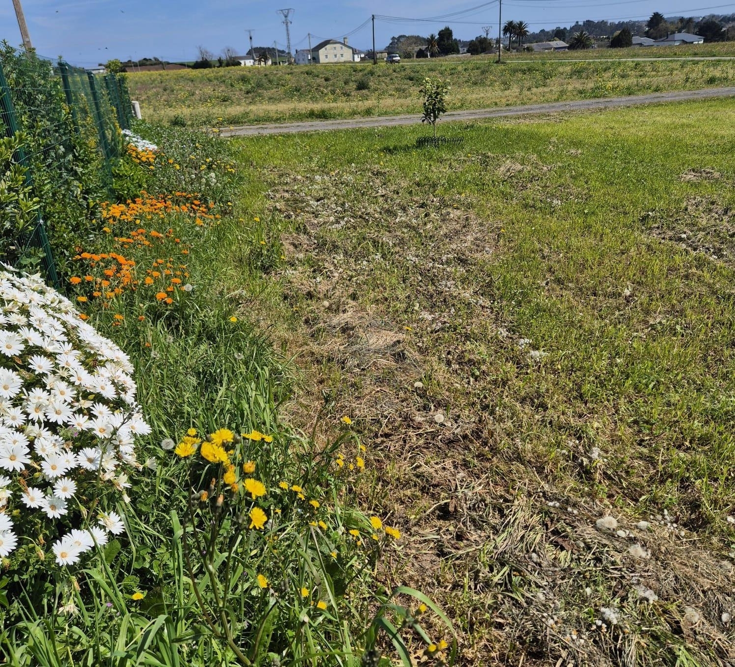 kaufen Haus Tapia De Casariego Eo-Navia 4