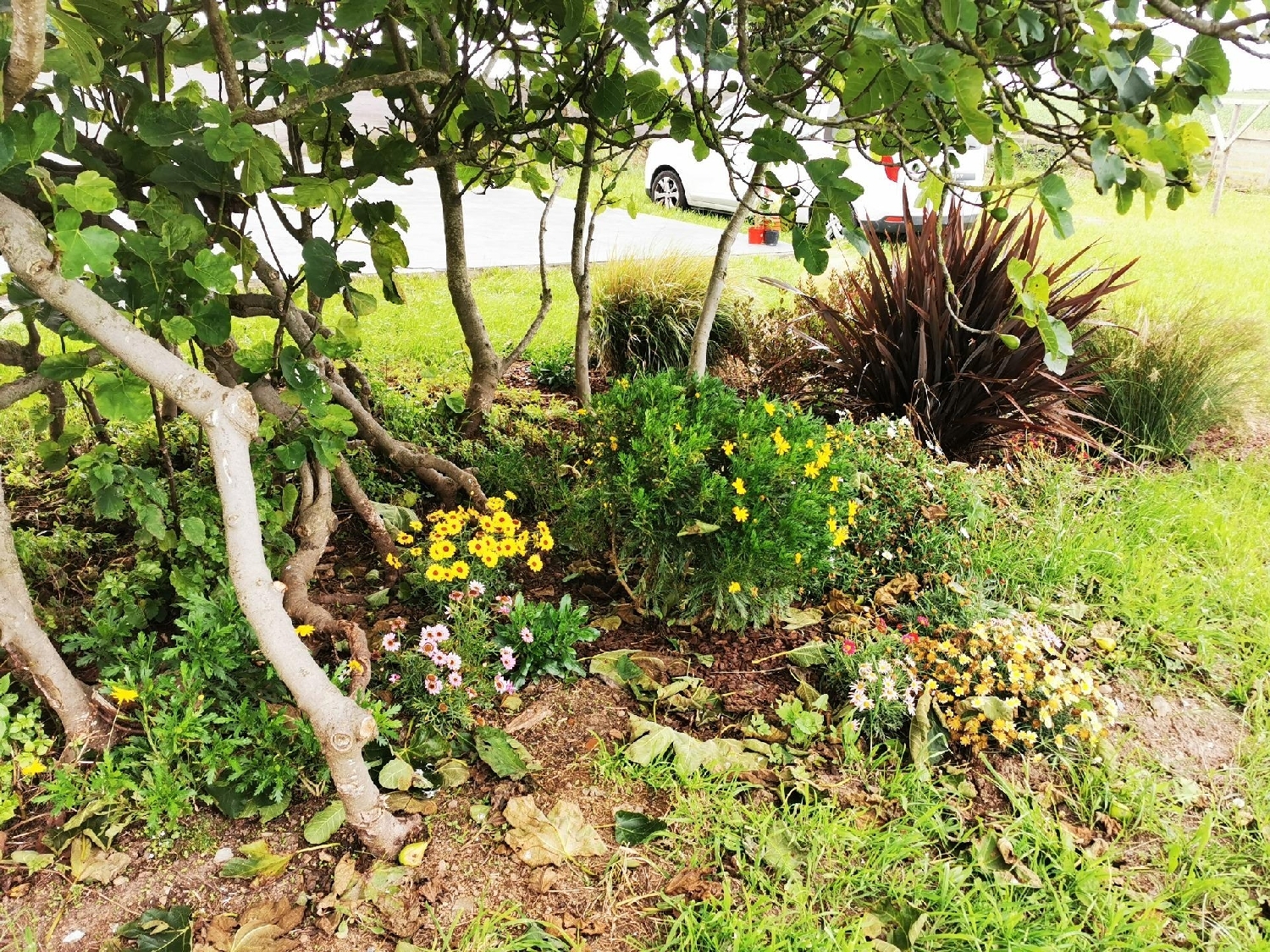  kaufen Haus Tapia De Casariego Eo-Navia 4