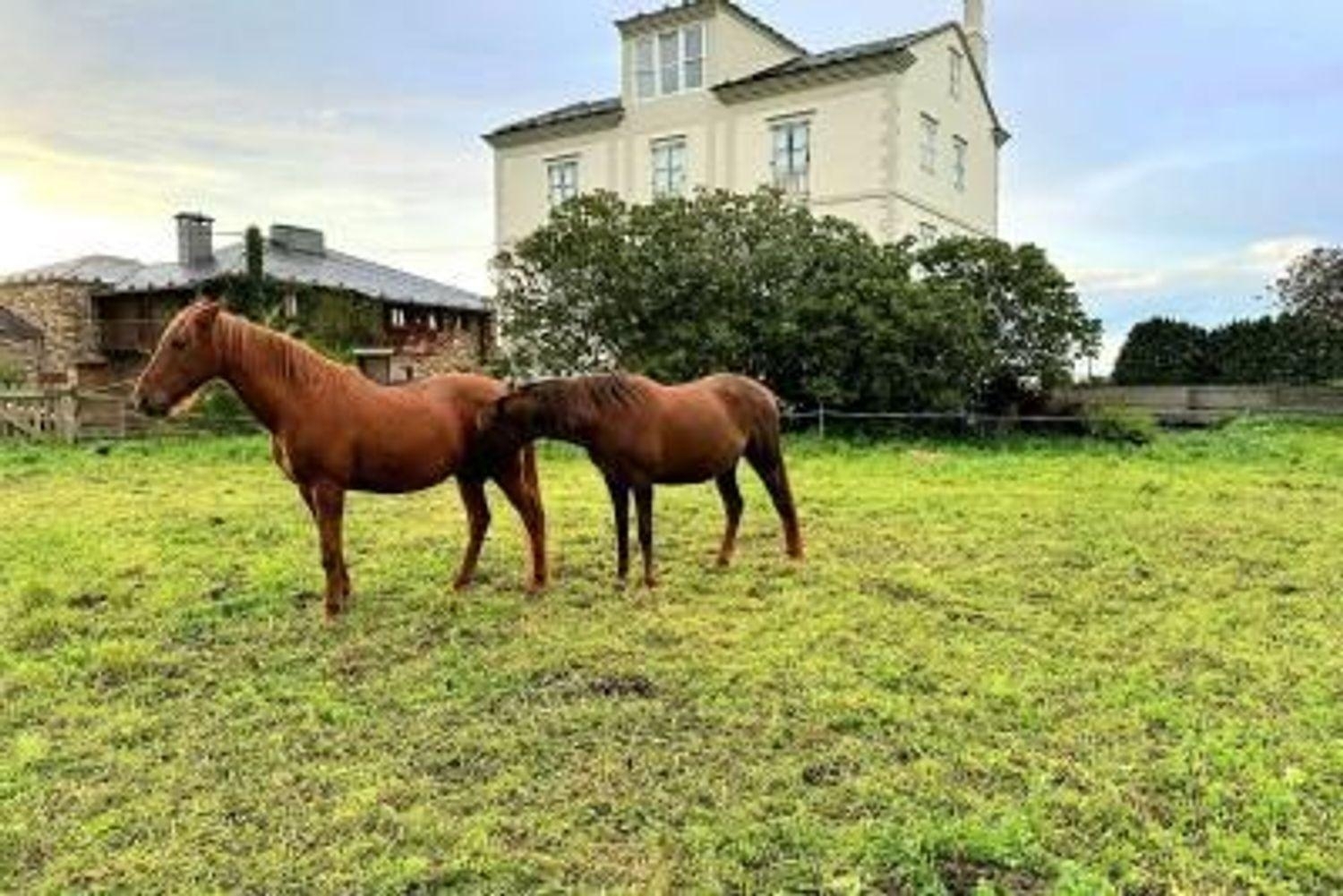  kaufen Haus Tapia De Casariego Eo-Navia 1