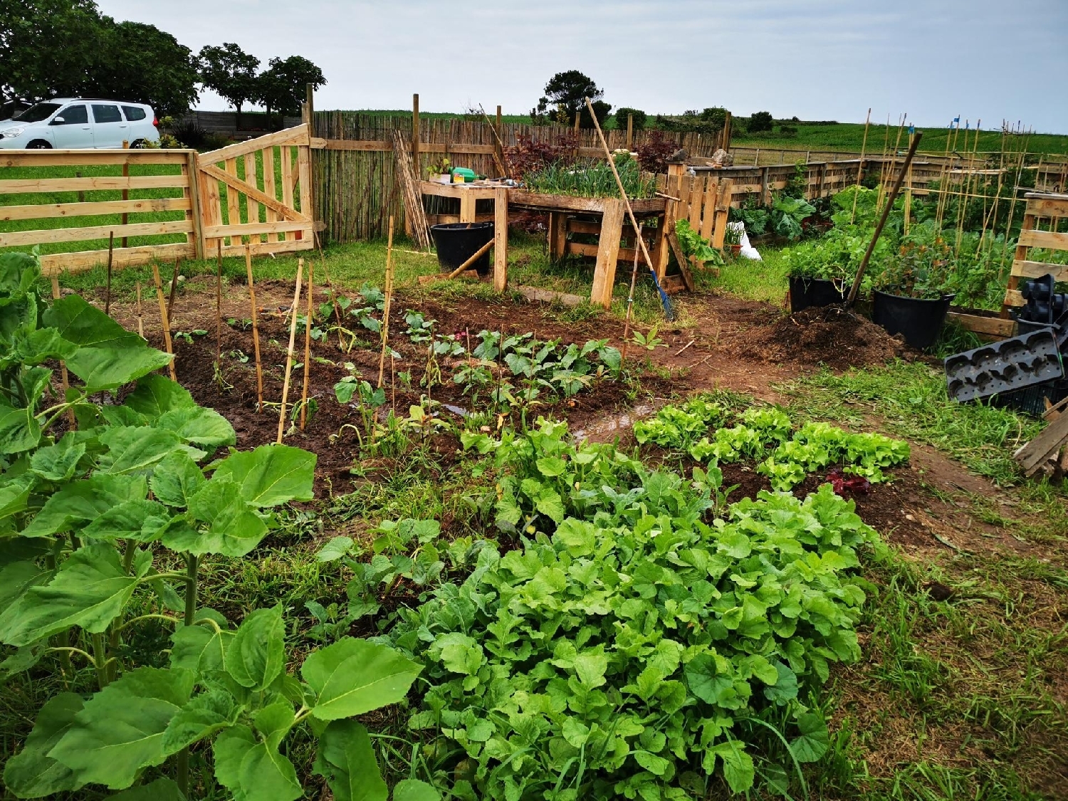  kaufen Haus Tapia De Casariego Eo-Navia 5