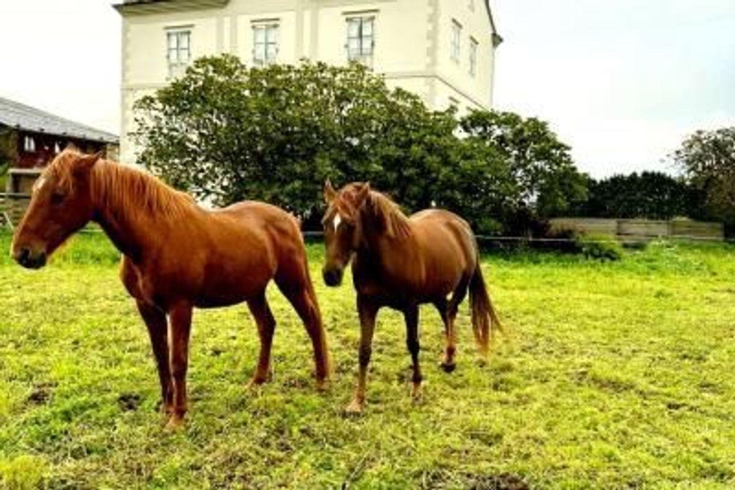  kaufen Haus Tapia De Casariego Eo-Navia 2