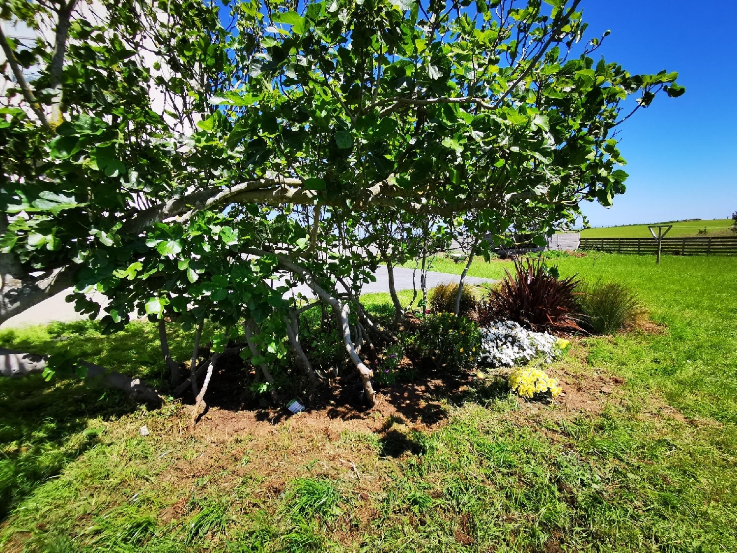  kaufen Haus Tapia De Casariego Eo-Navia 3