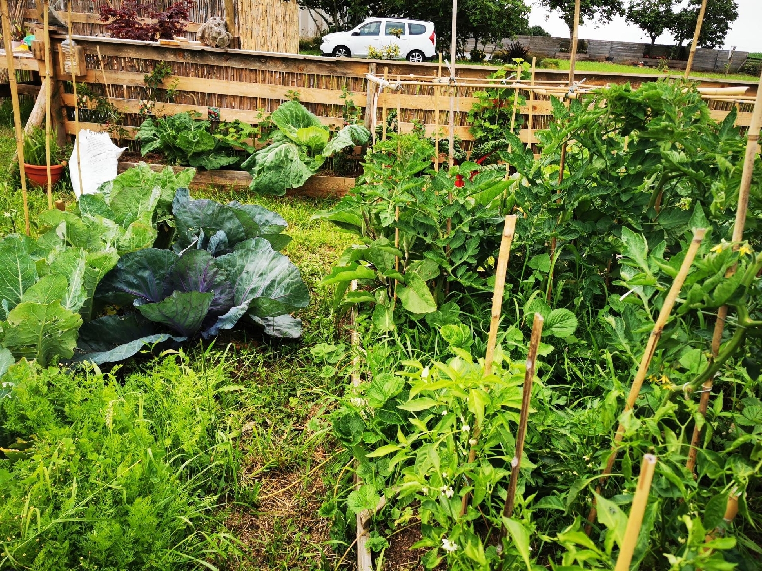  kaufen Haus Tapia De Casariego Eo-Navia 6