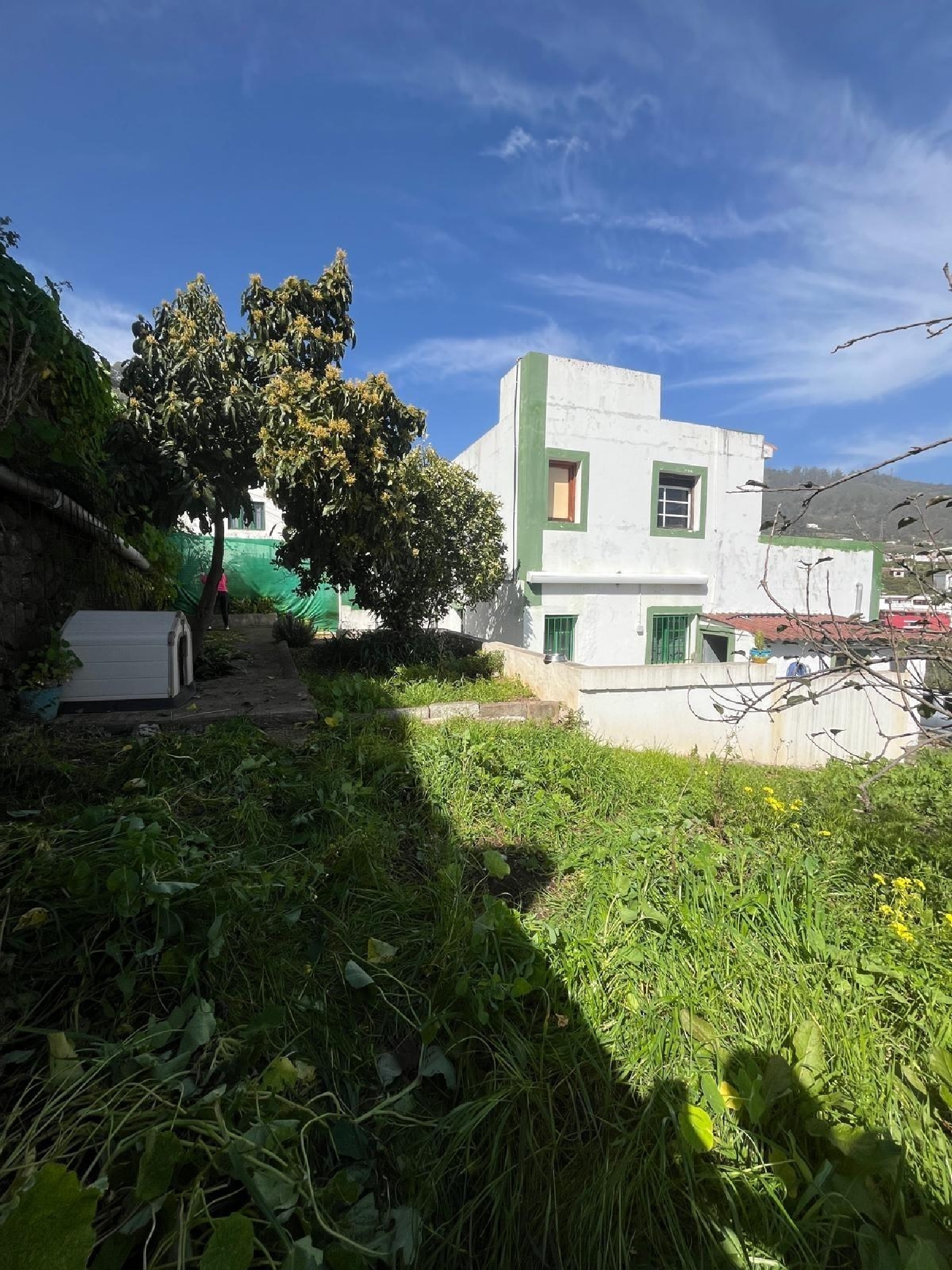  te koop huis Teror Área Norte 1