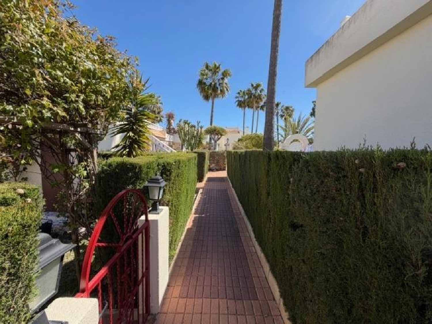  te koop huis Torrevieja Baix Segura 3