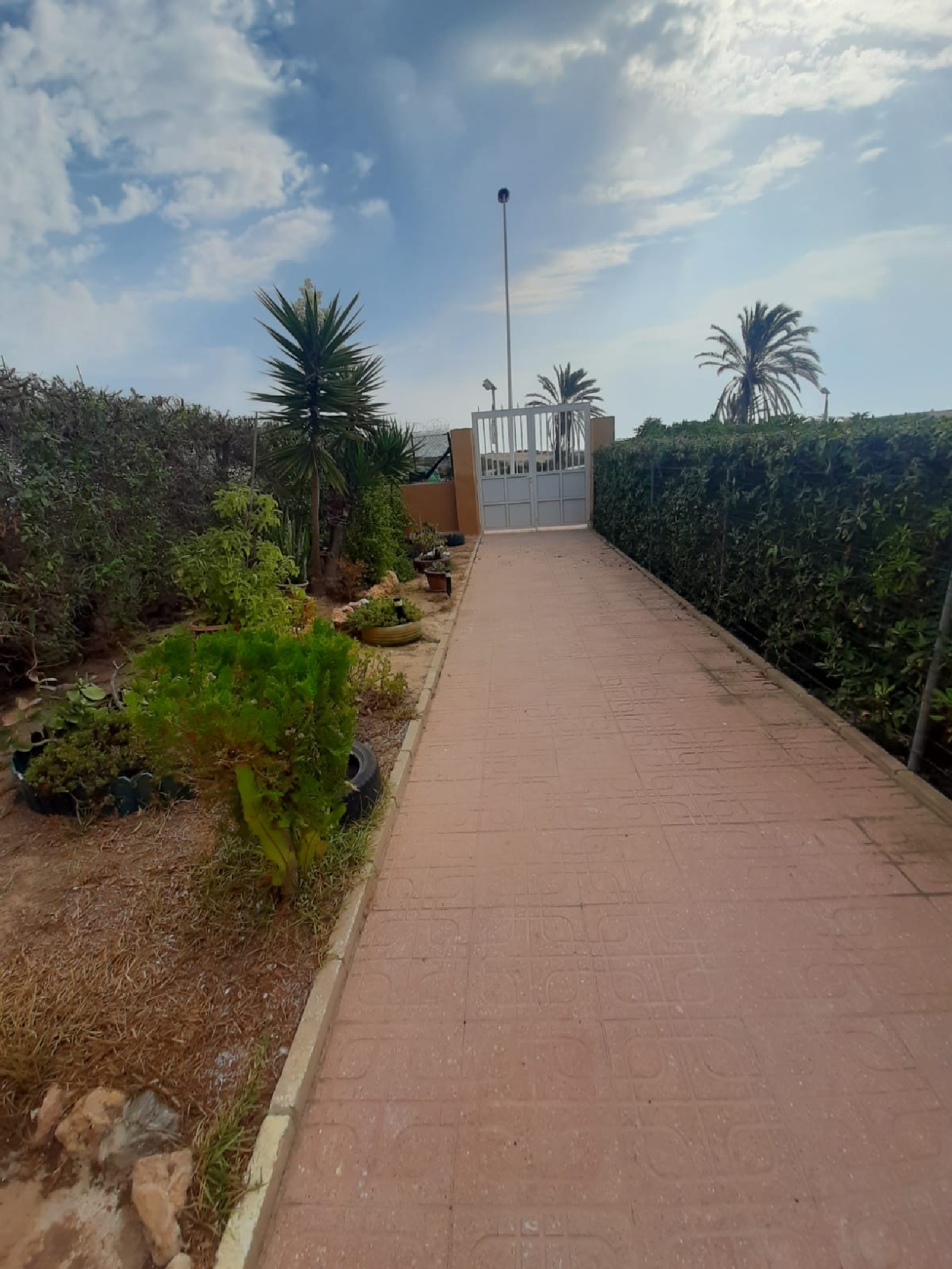  à vendre maison Torrevieja Baix Segura 3