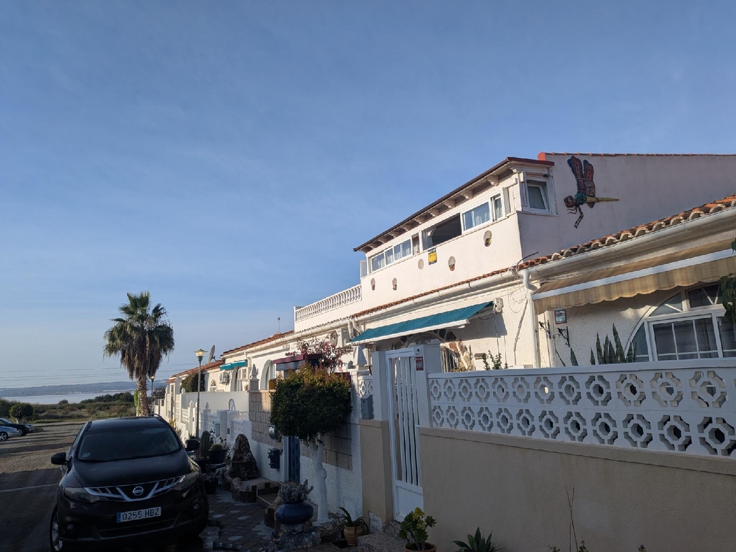  kaufen Haus Torrevieja Baix Segura 4