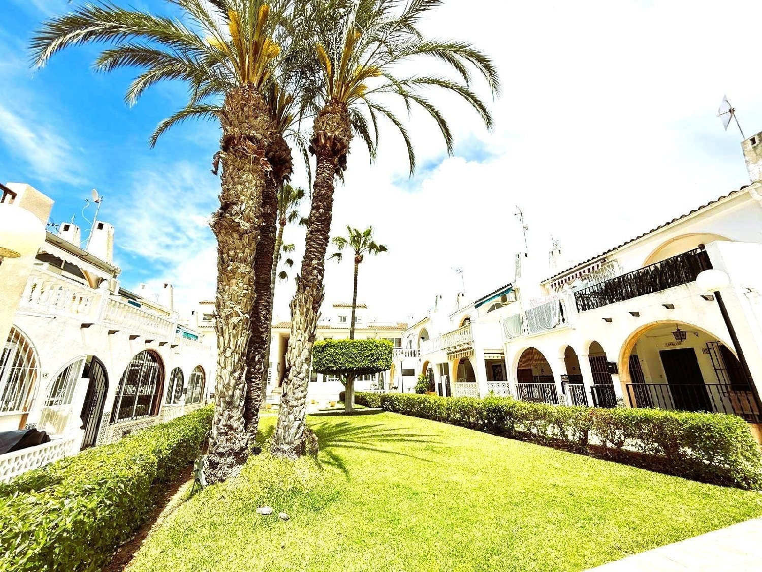  for sale house Torrevieja Baix Segura 3