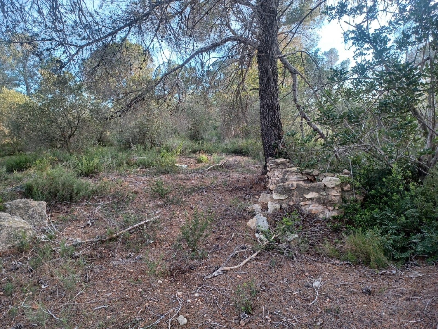  kaufen Haus Vallmoll Alt Camp 5