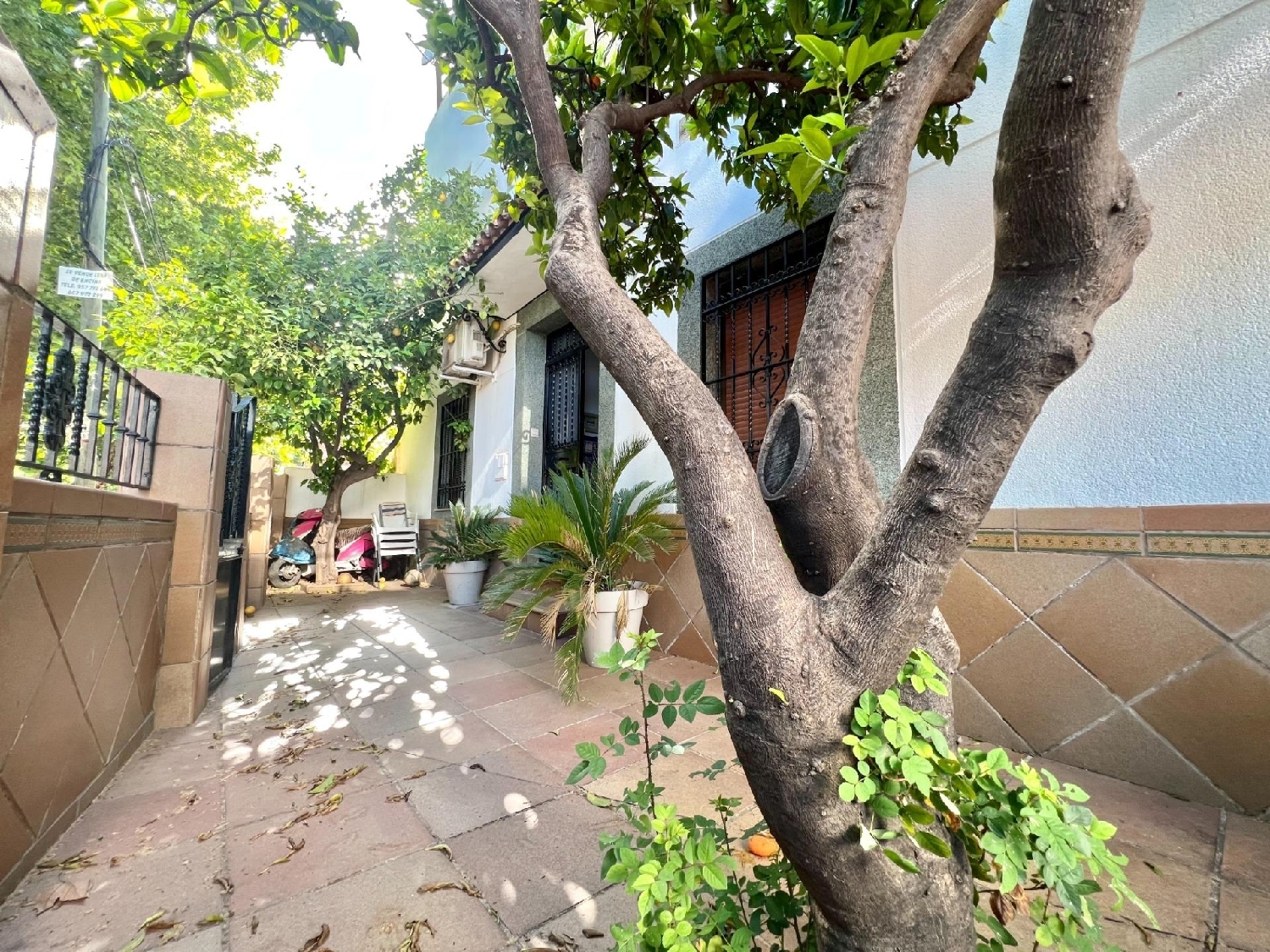  kaufen Haus Villafranca De Córdoba Alto Guadalquivir 2