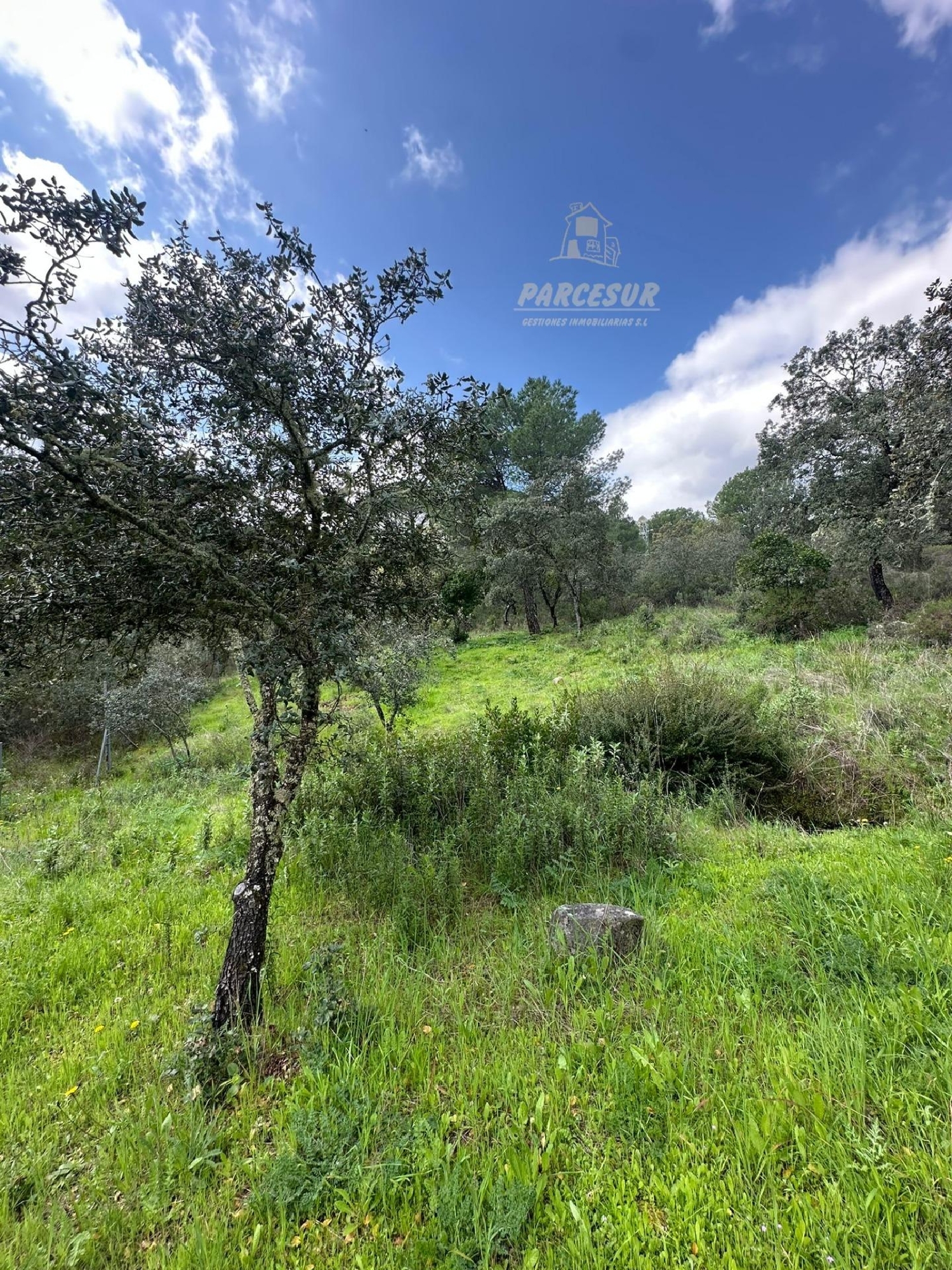  for sale house Villafranca De Córdoba Alto Guadalquivir 7