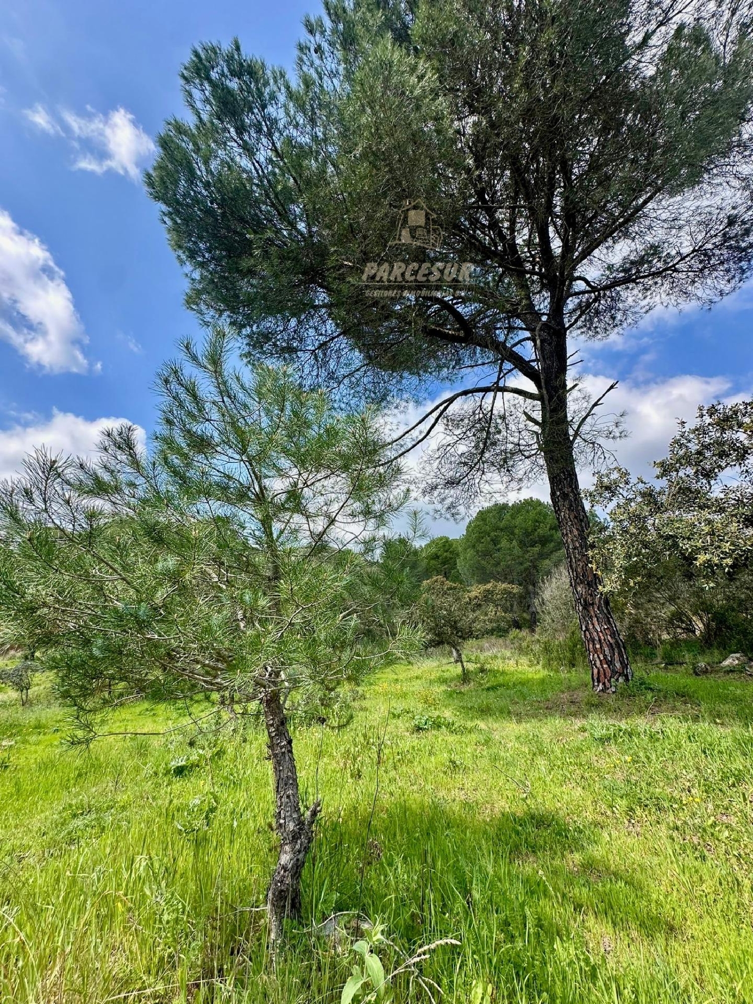  for sale house Villafranca De Córdoba Alto Guadalquivir 3