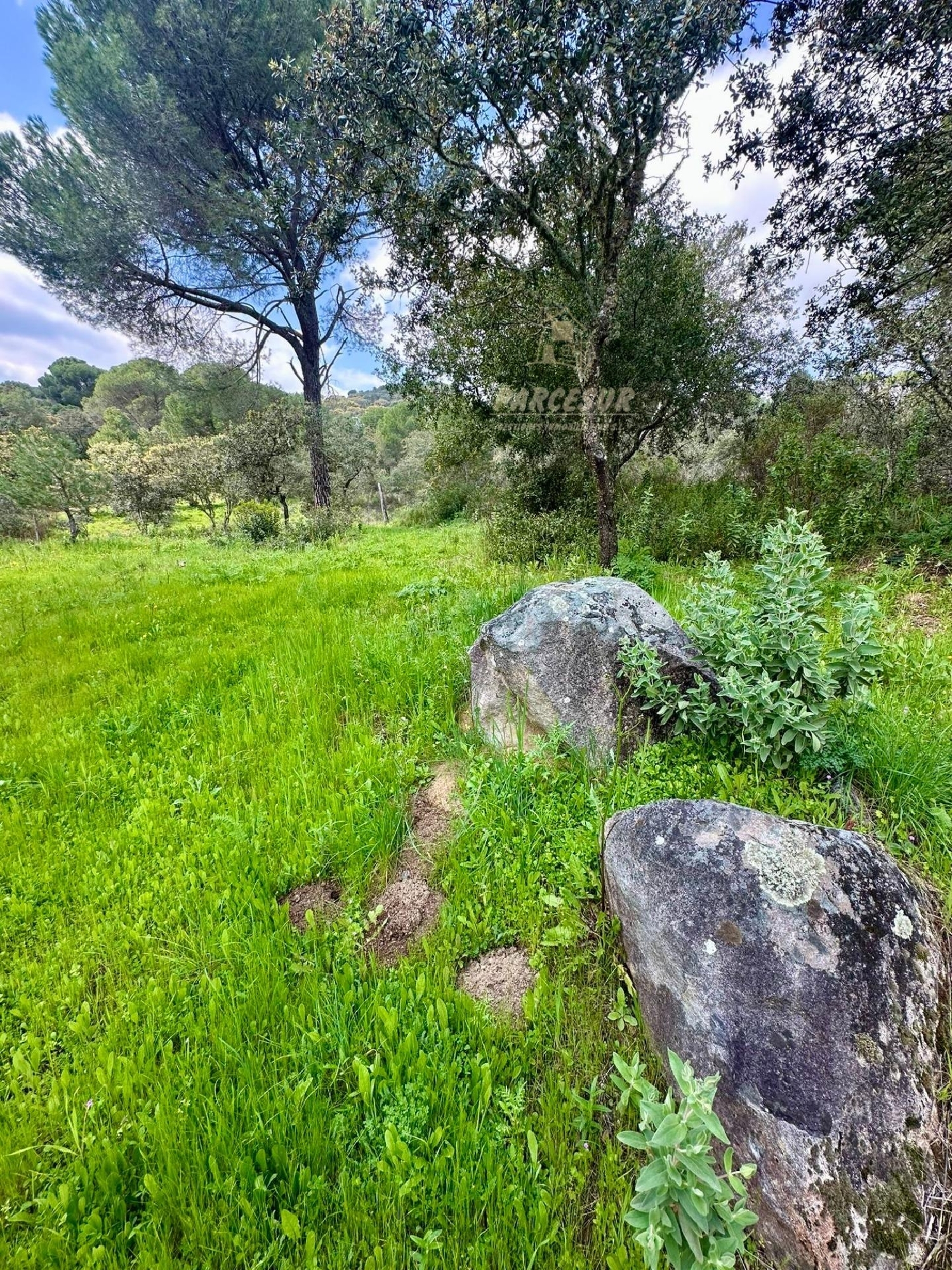  for sale house Villafranca De Córdoba Alto Guadalquivir 8