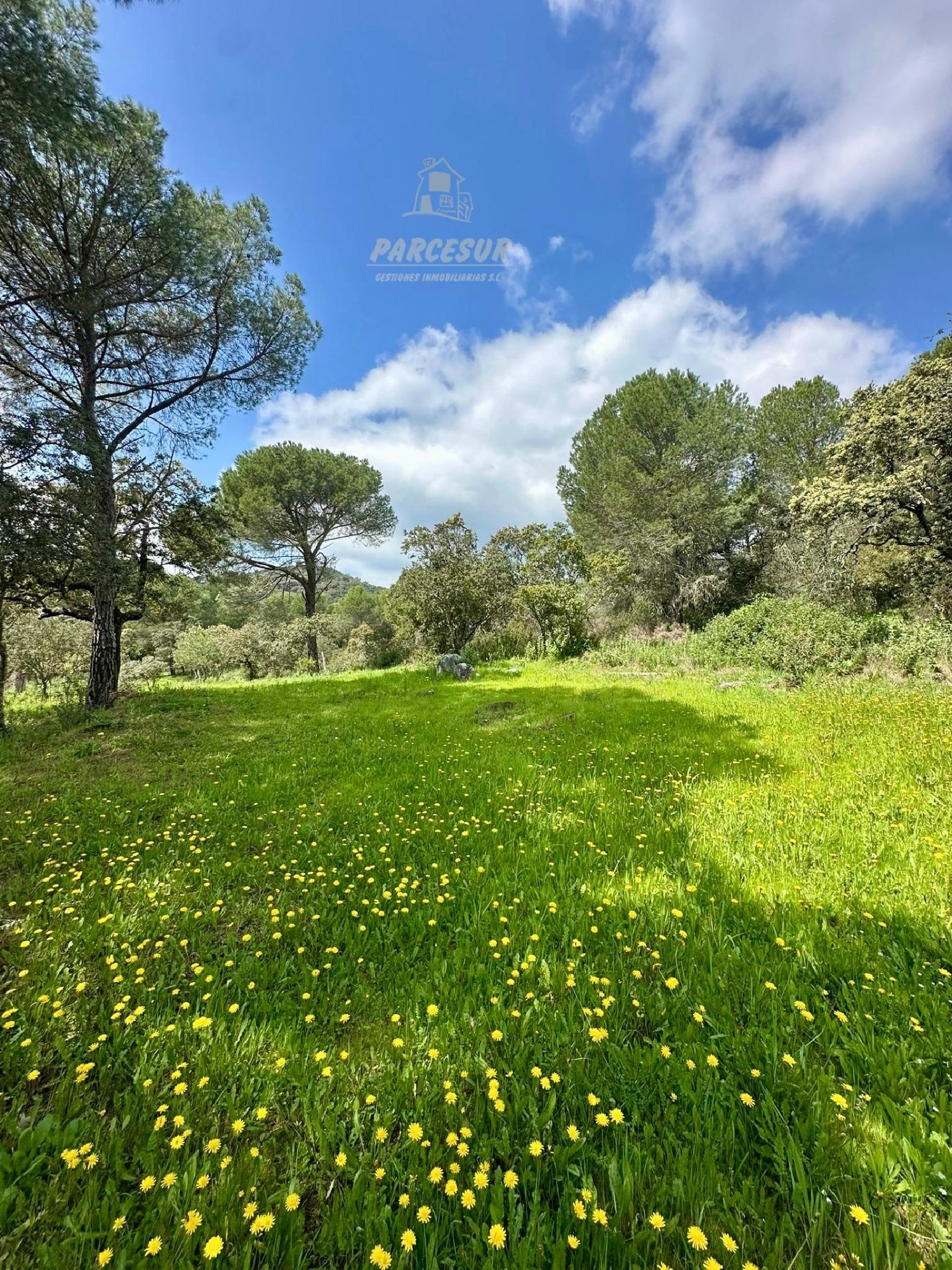  for sale house Villafranca De Córdoba Alto Guadalquivir 2