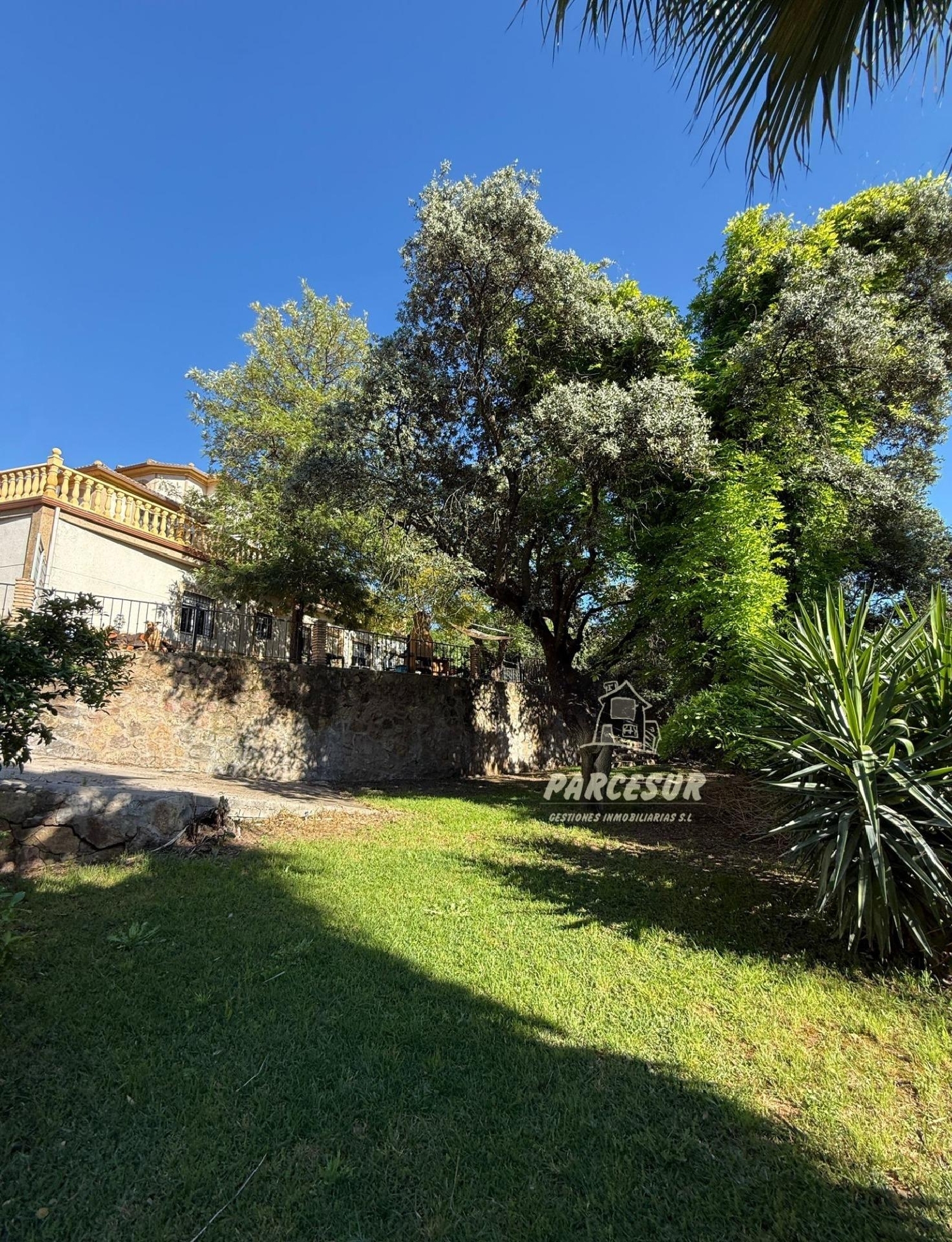  kaufen Haus Villafranca De Córdoba Alto Guadalquivir 4