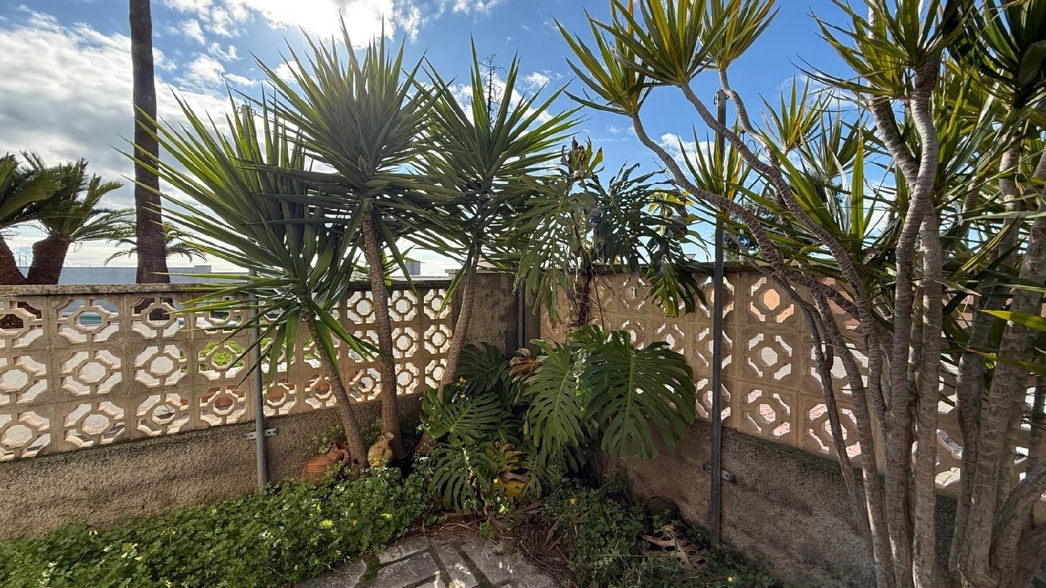  till salu hus Vinaros Baix Maestrat 4